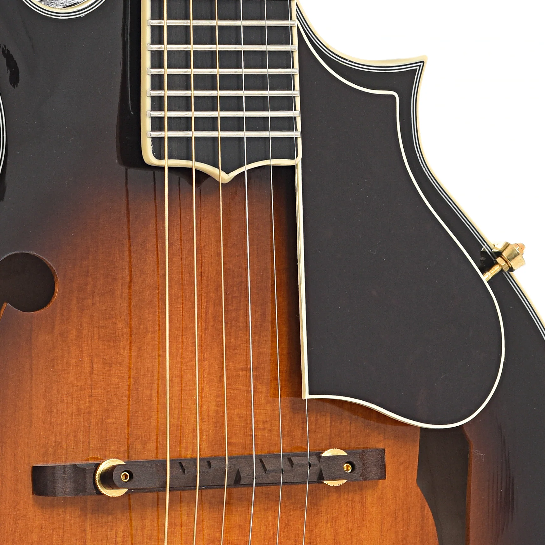 Gold Tone F-6+ Acoustic-Electric 6-String Manditar & Case - Image 6