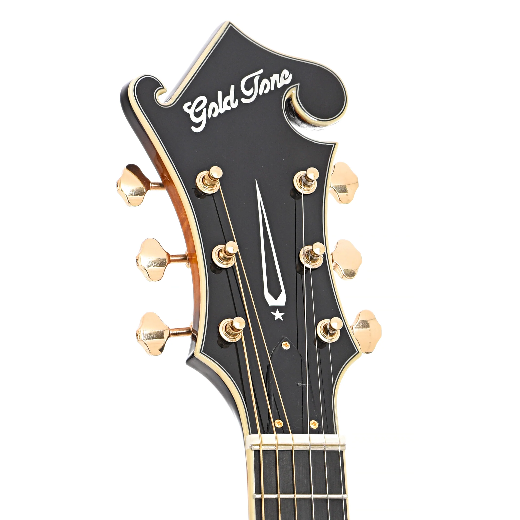 Gold Tone F-6+ Acoustic-Electric 6-String Manditar & Case - Image 8