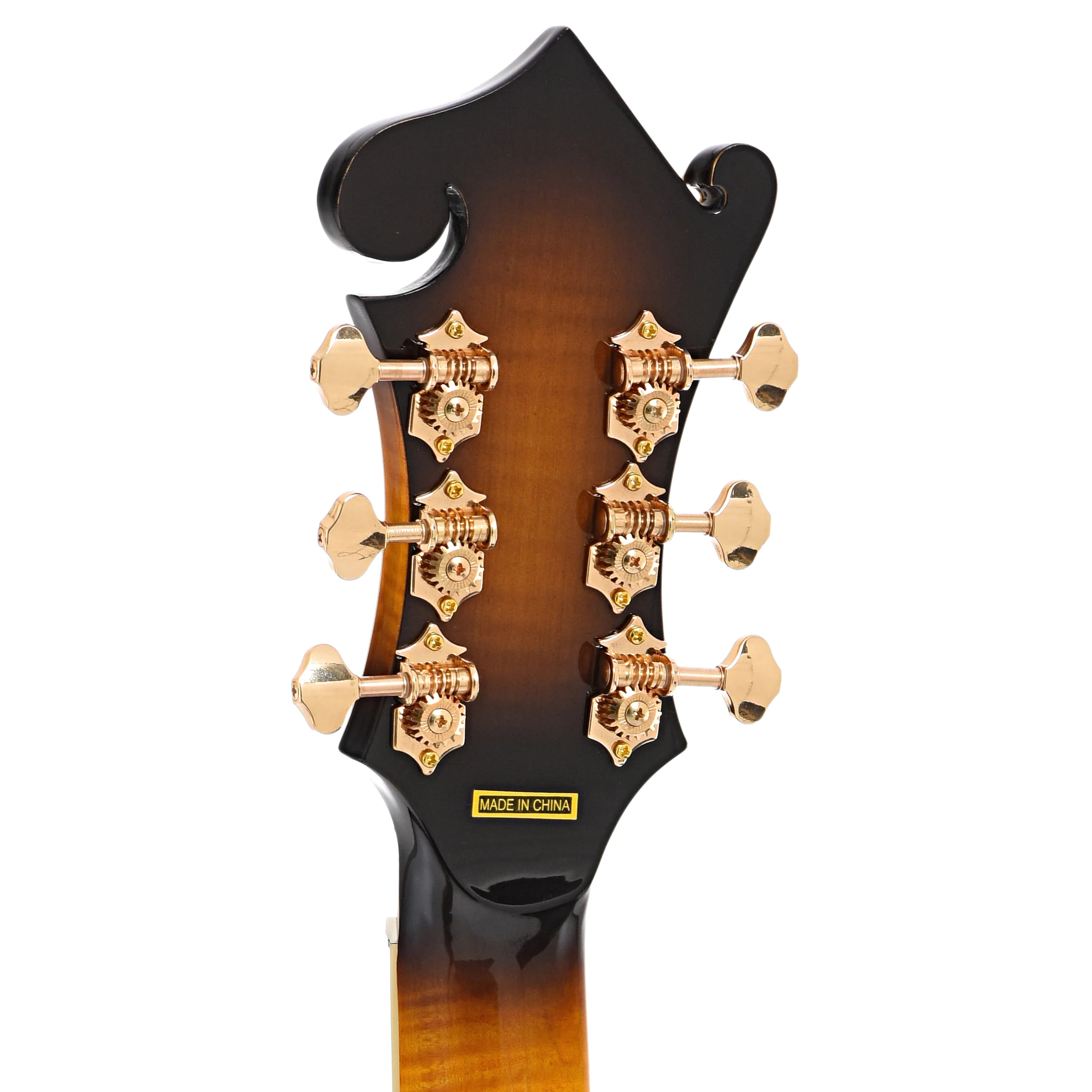 Gold Tone F-6+ Acoustic-Electric 6-String Manditar & Case - Image 9