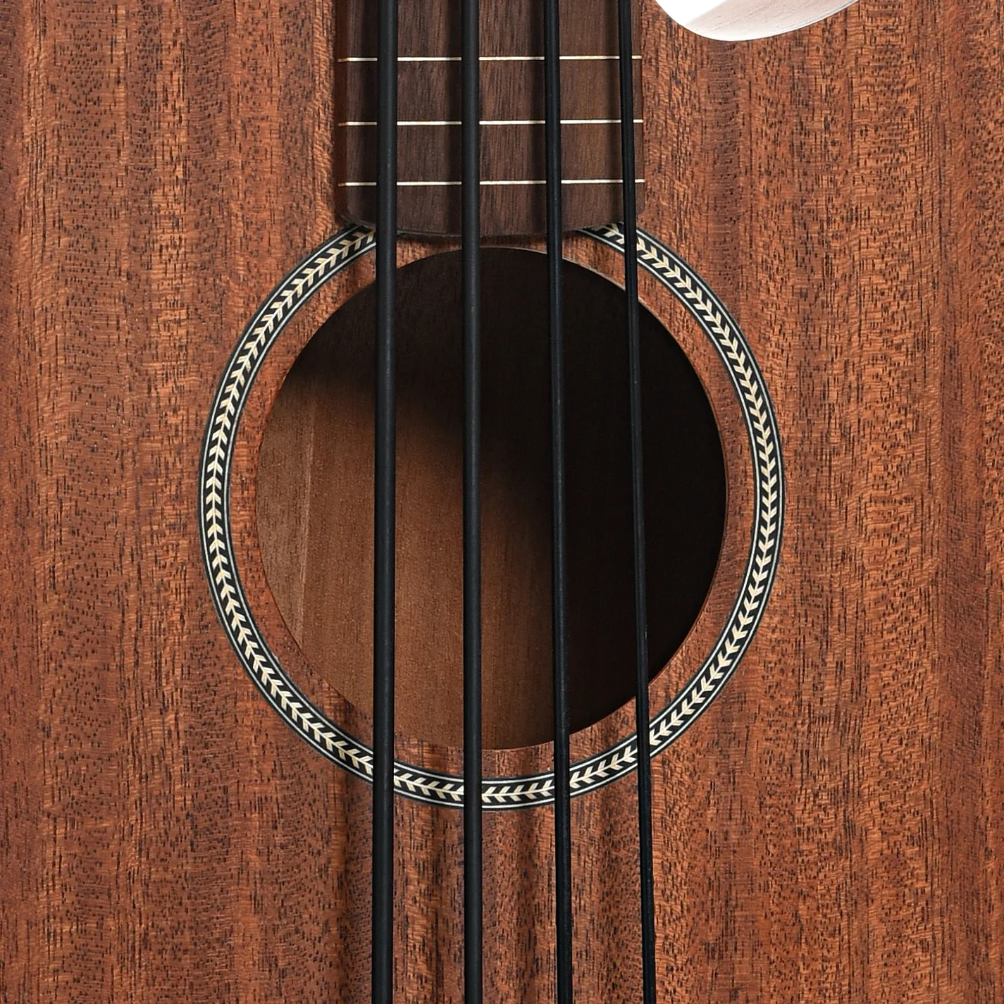 Gold Tone Fretless M-Bass & Gigbag - Image 5