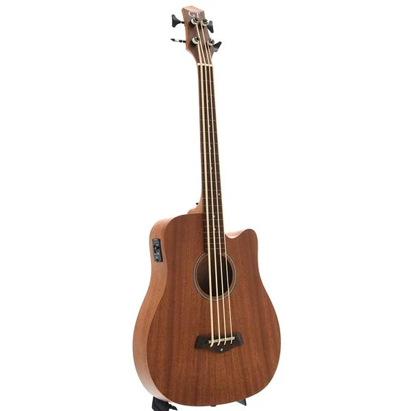Gold Tone M-Bass25FL Acoustic-Electric Fretless MicroBass & Gigbag, 25in Scale - Image 3