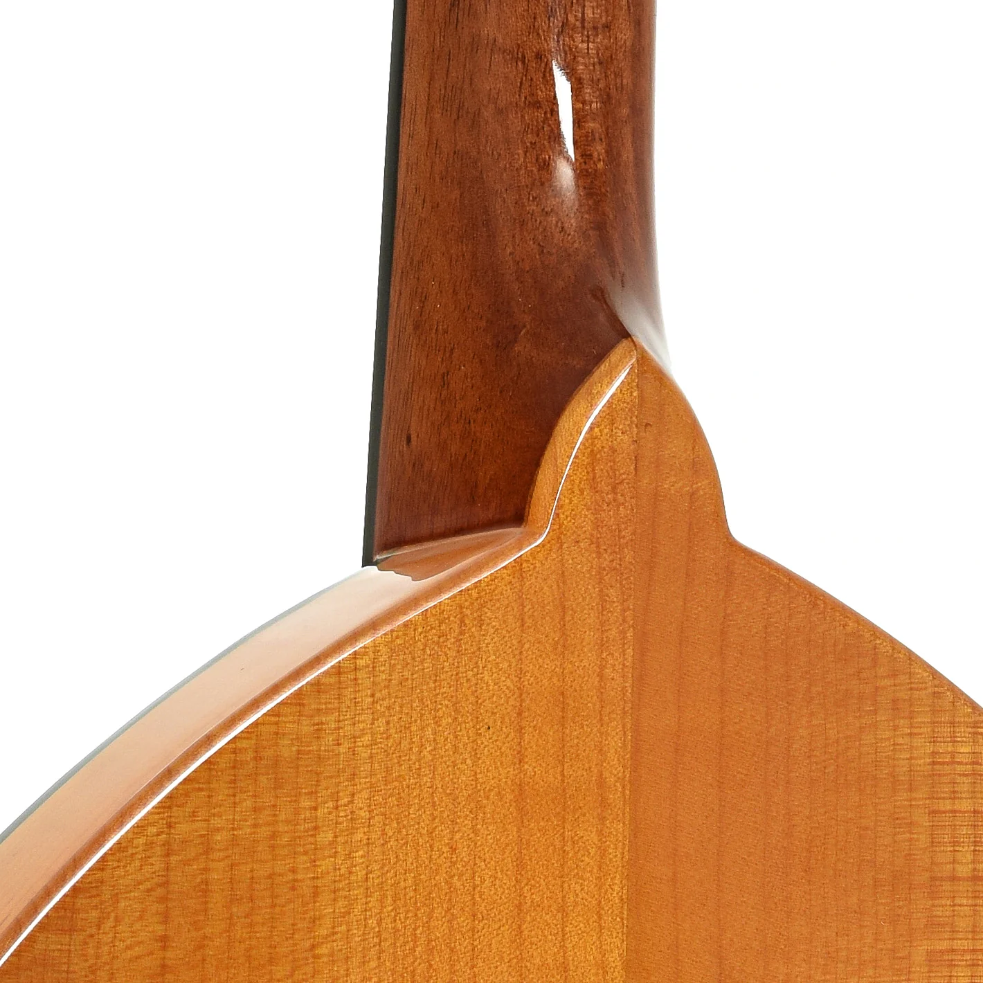 Gold Tone GM-10 Frypan Mandolin (2022) - Image 10