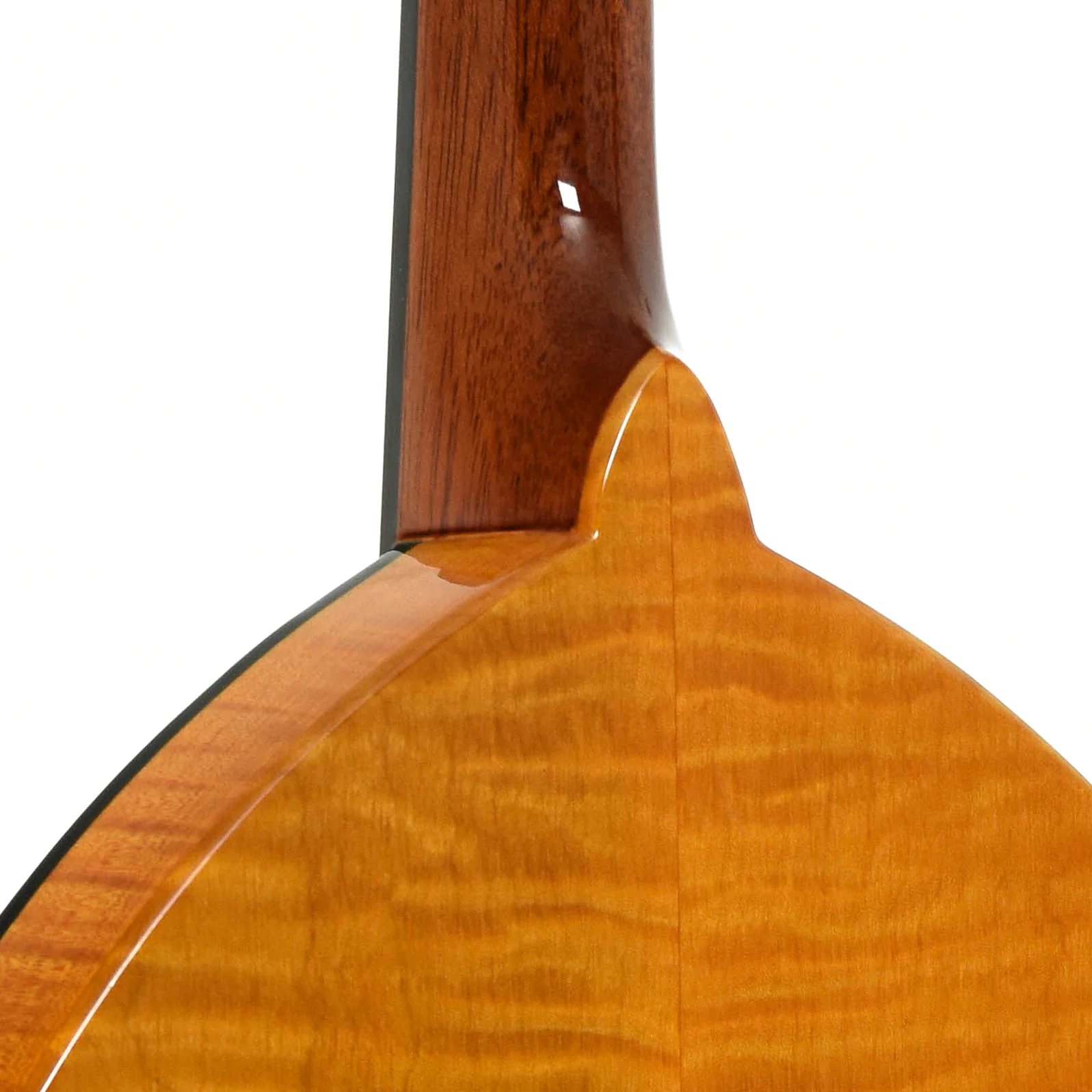 Gold Tone GM-10  Frypan Mandolin (2023) - Image 10