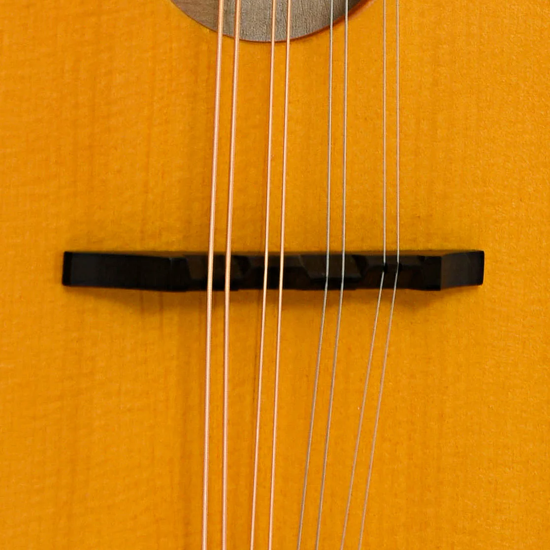 Gold Tone GM-10  Frypan Mandolin (2023) - Image 5