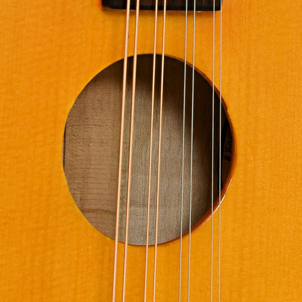 Gold Tone GM-10  Frypan Mandolin (2023) - Image 6