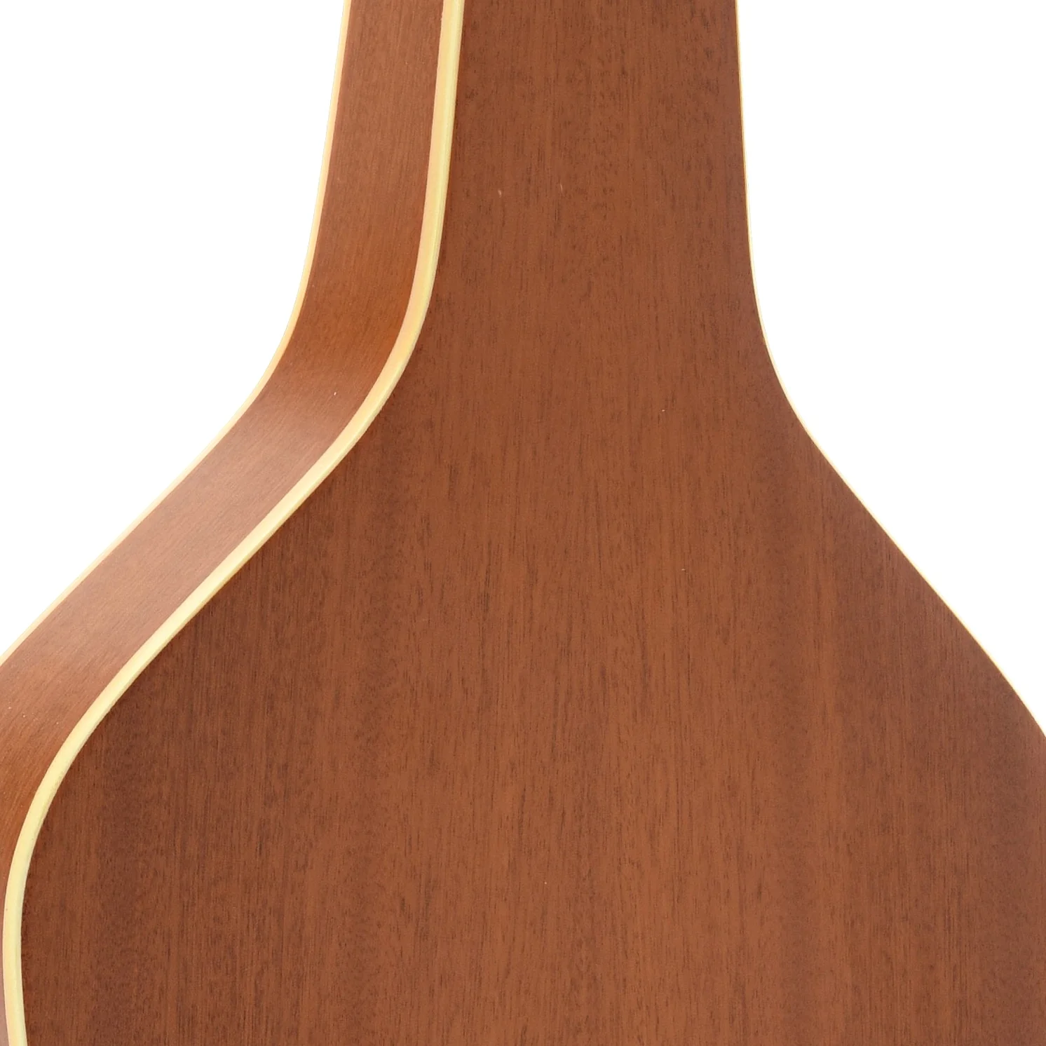 Gold Tone GT Weissenborn Squareneck Acoustic Guitar & Gigbag - Image 10