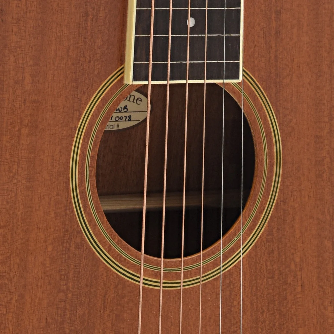 Gold Tone GT Weissenborn Squareneck Acoustic Guitar & Gigbag - Image 7