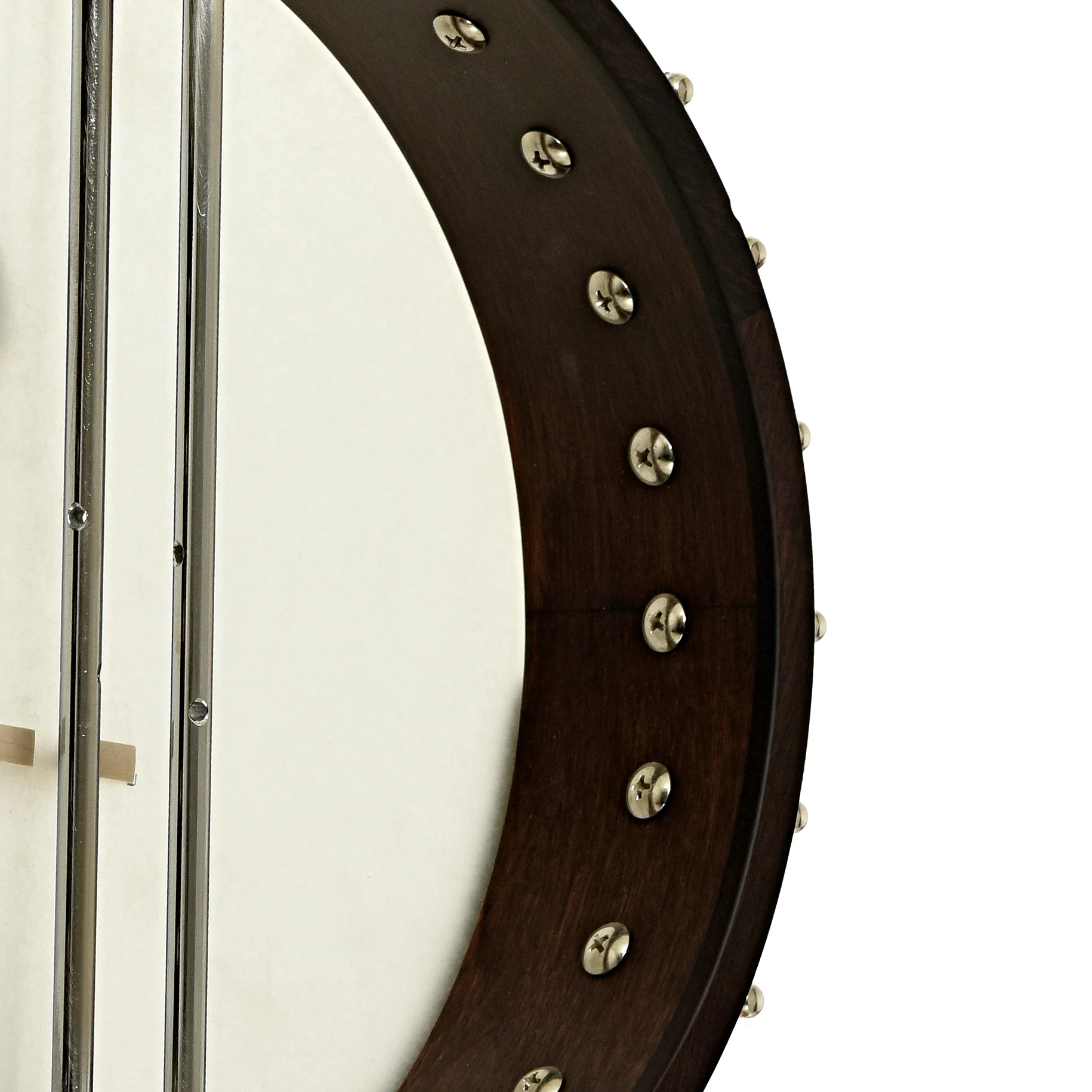 Gold Tone Irish Tenor Banjo (2024) - Image 13