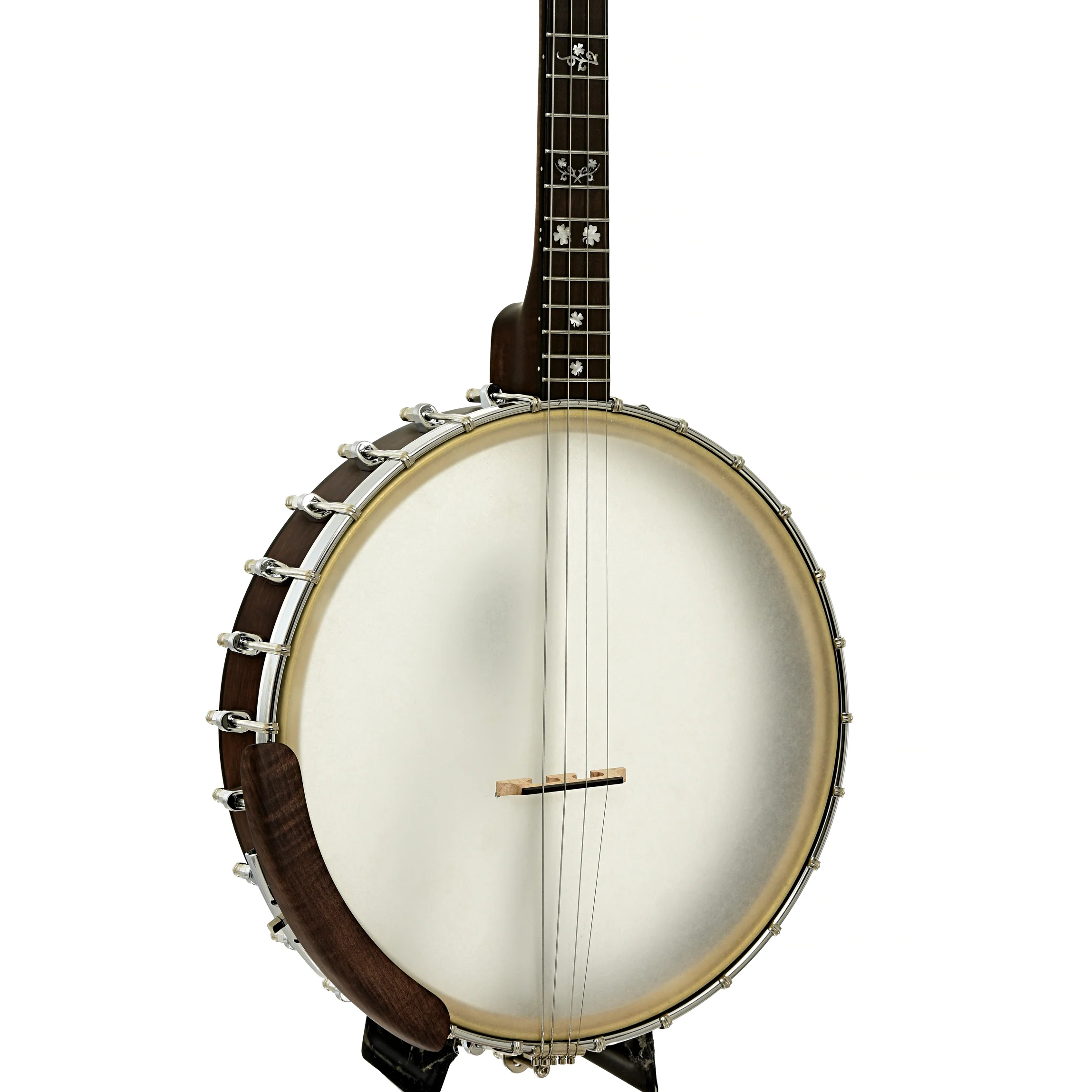 Gold Tone Irish Tenor Banjo (2024) - Image 2