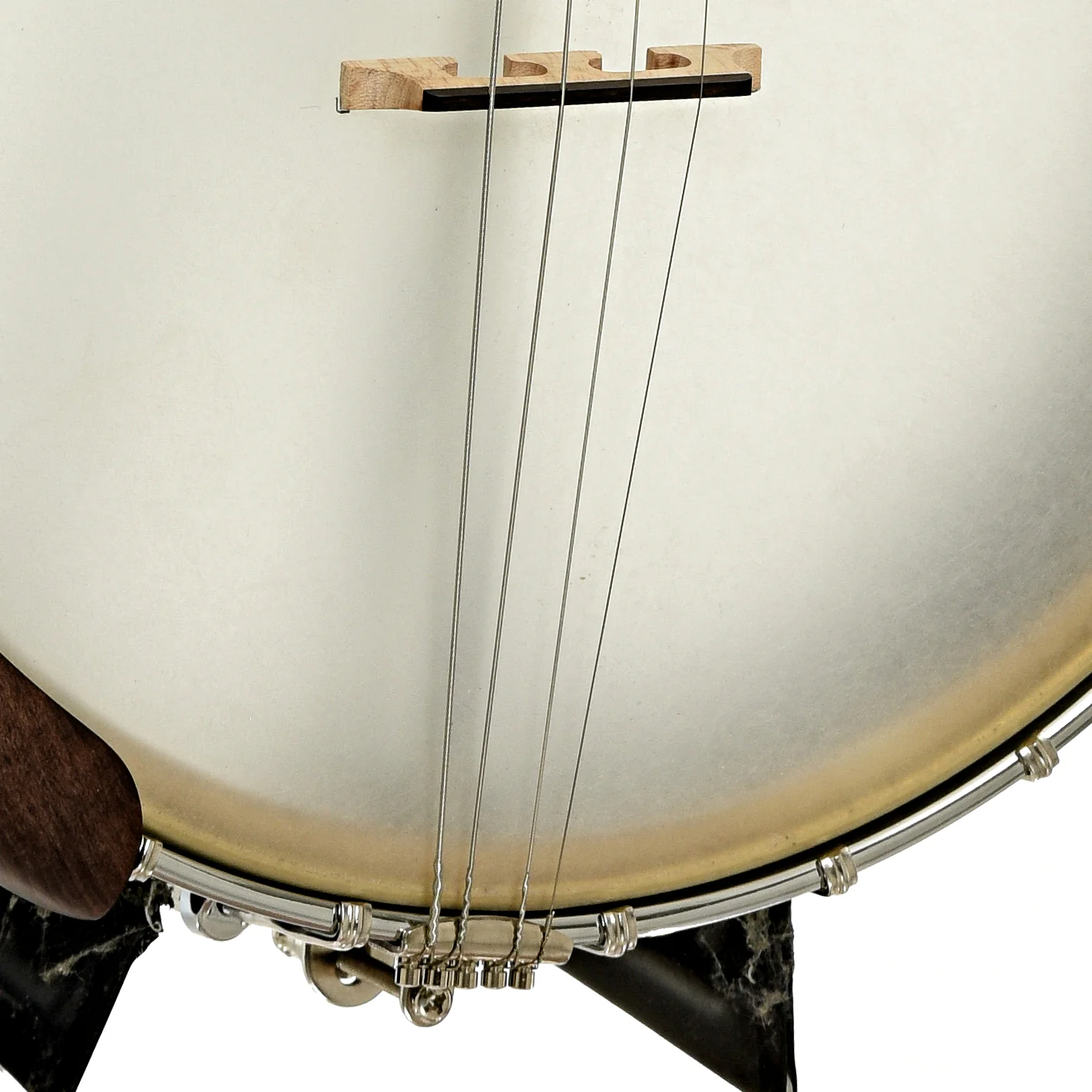 Gold Tone Irish Tenor Banjo (2024) - Image 4