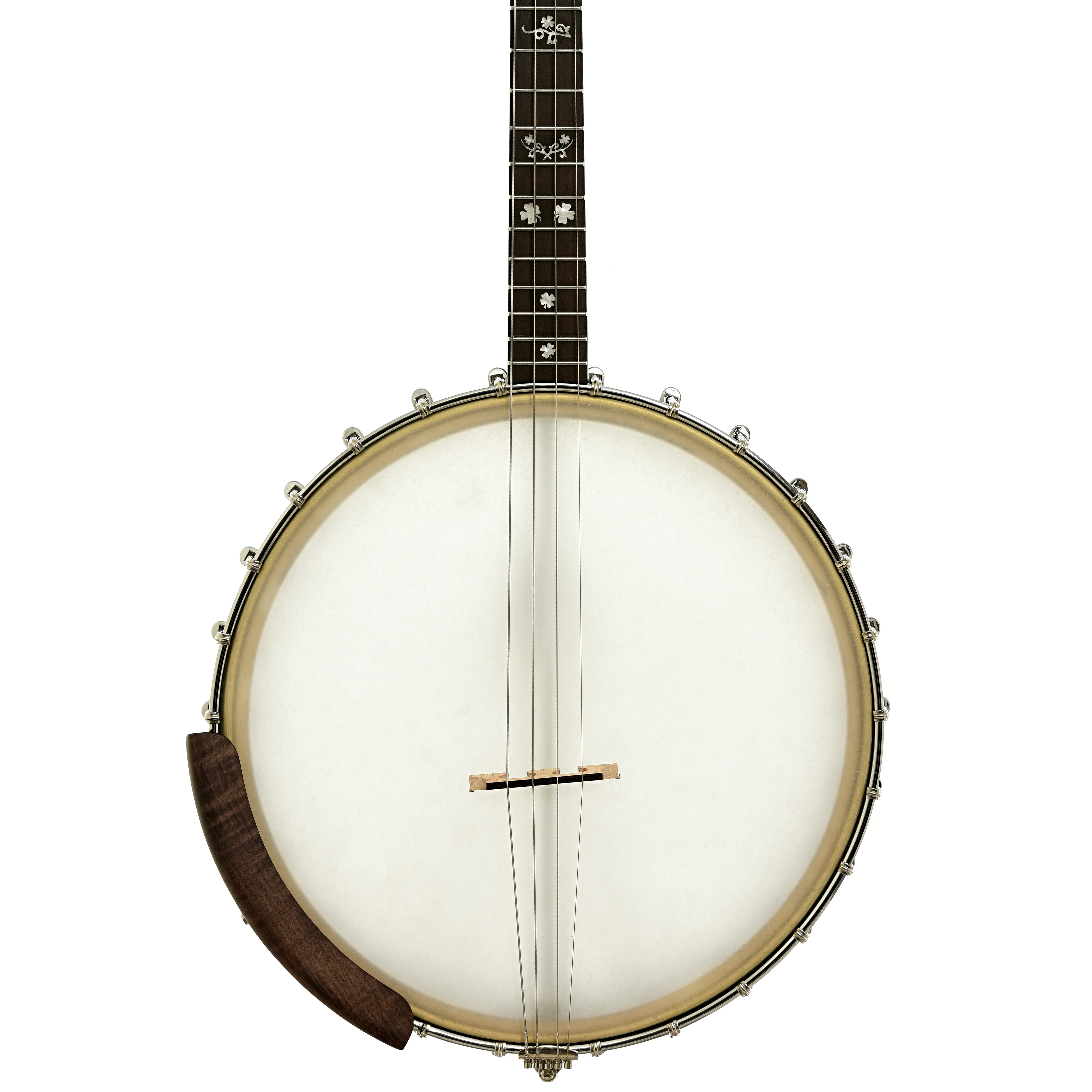 Gold Tone Irish Tenor Banjo (2024) - Image 5