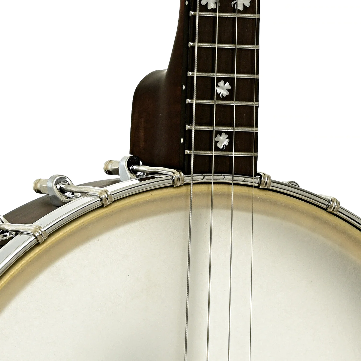 Gold Tone Irish Tenor Banjo (2024) - Image 6