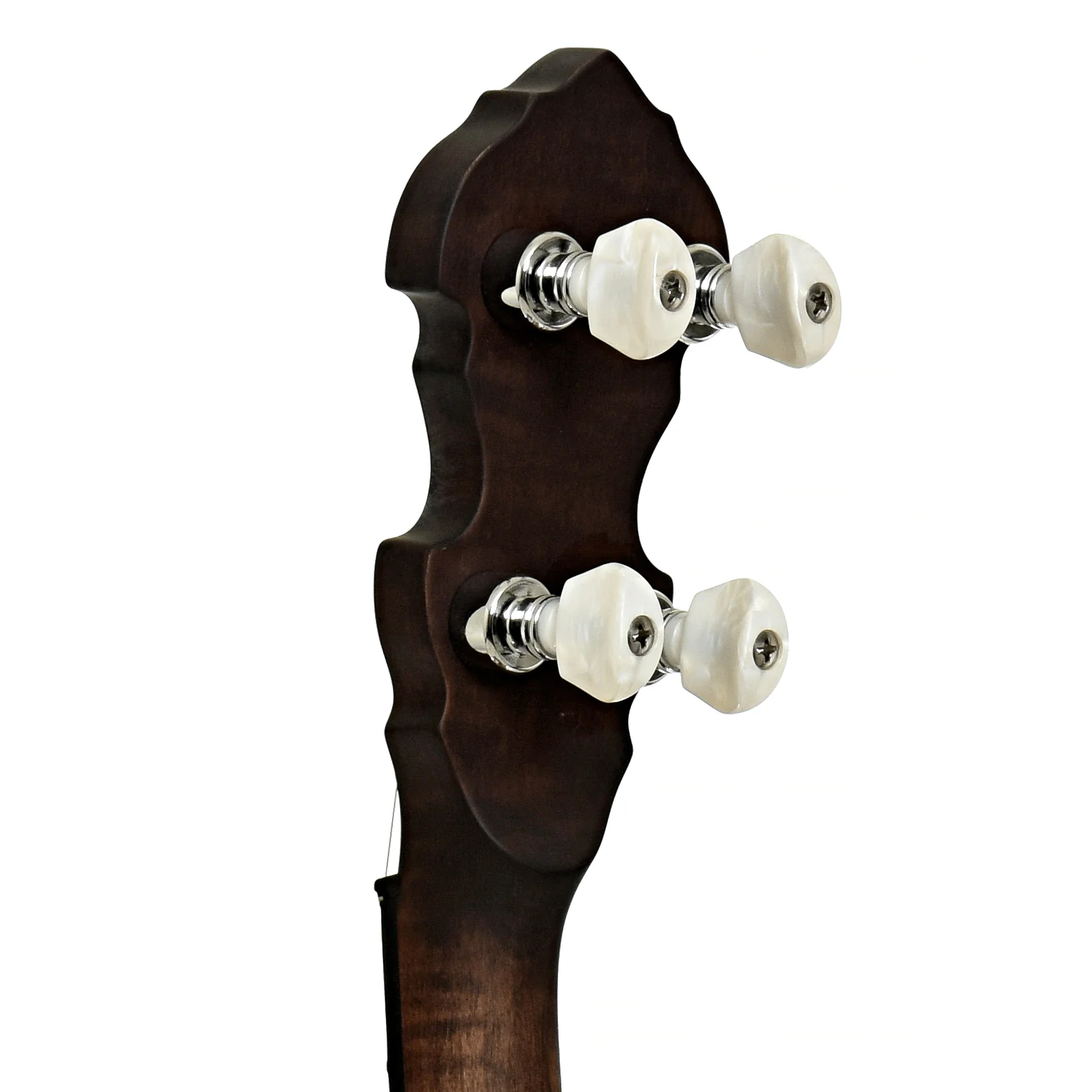 Gold Tone Irish Tenor Banjo (2024) - Image 9