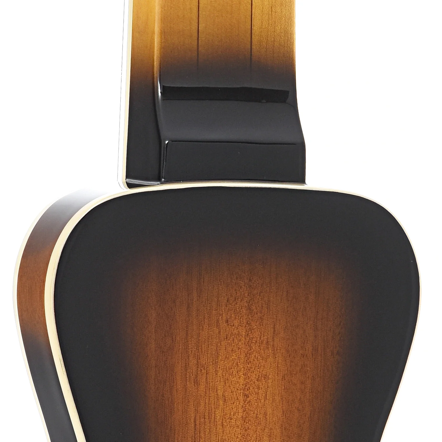 Gold Tone LS-8 8-String Lap Steel Guitar & Case - Image 9