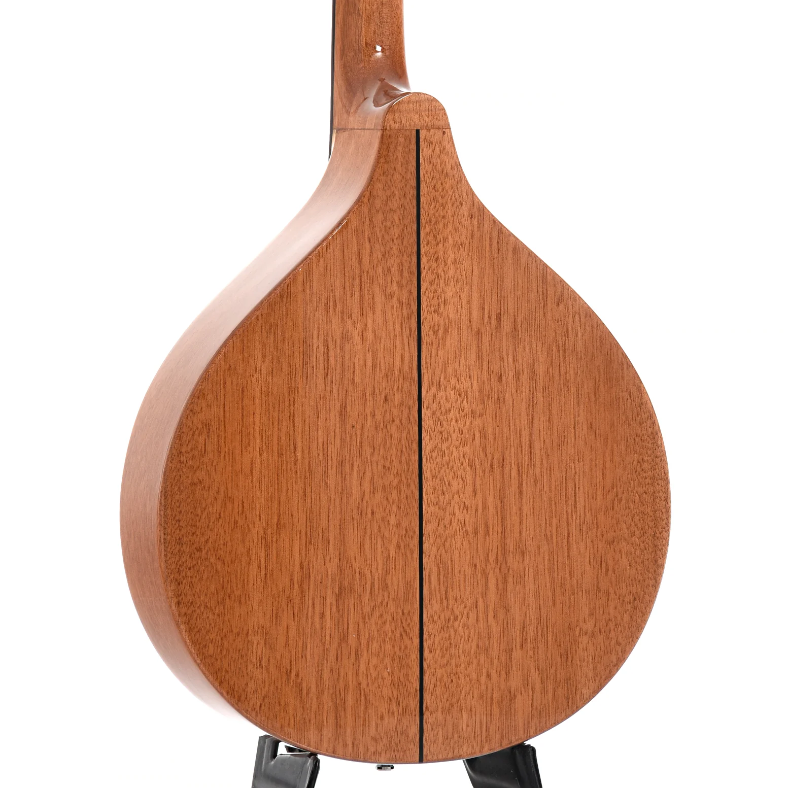 Gold Tone Mandola & Gigbag - Image 10