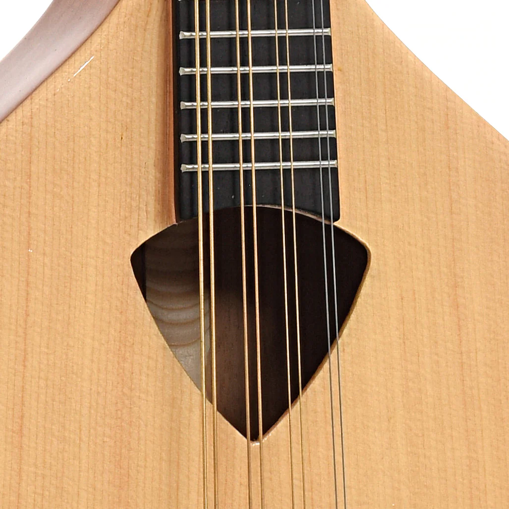 Gold Tone Mandola & Gigbag - Image 5