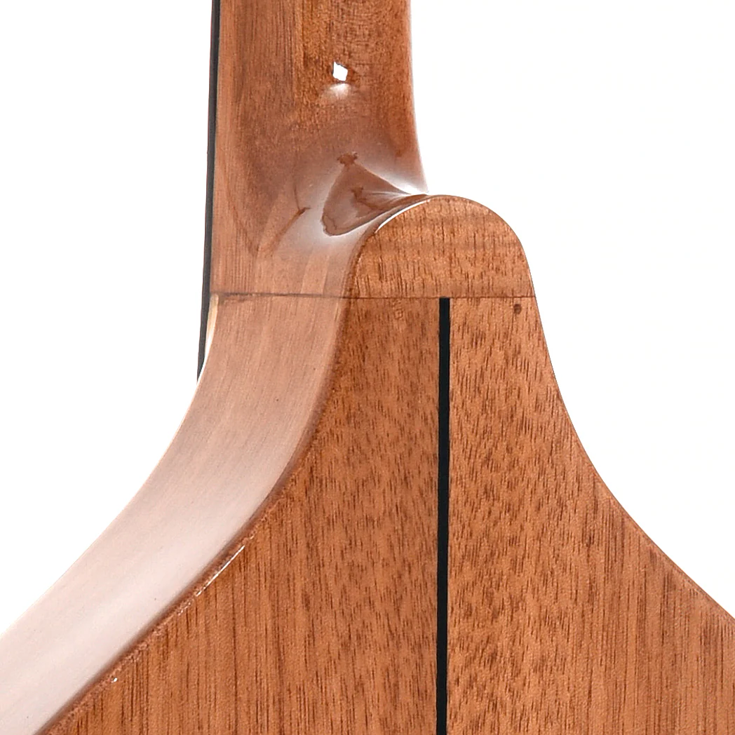 Gold Tone Mandola & Gigbag - Image 9