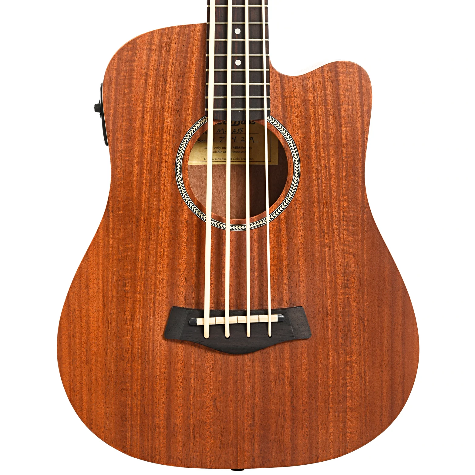 Gold Tone Acoustic-Electric MicroBass (2019) - Image 2