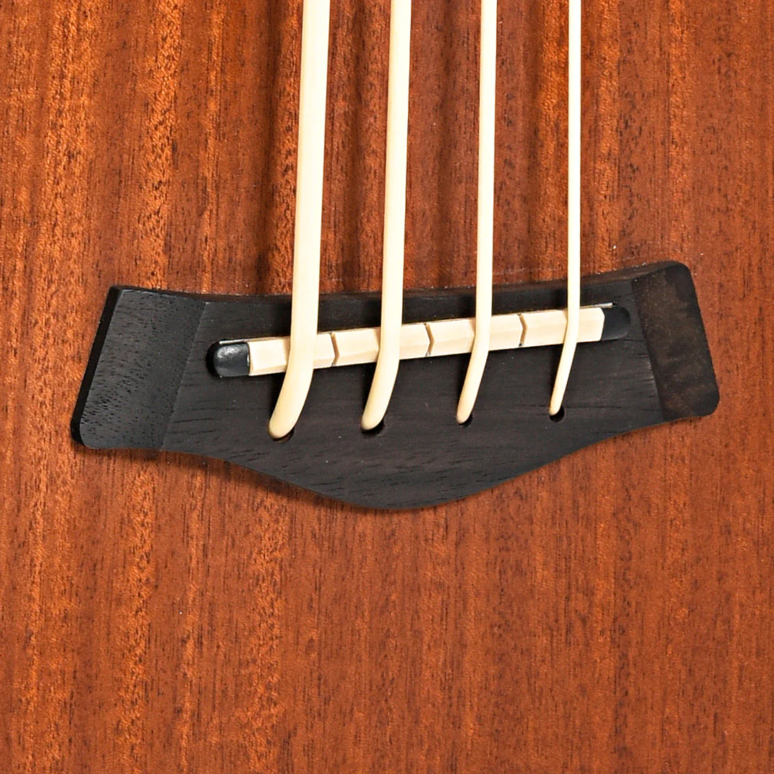 Gold Tone Acoustic-Electric MicroBass (2019) - Image 4