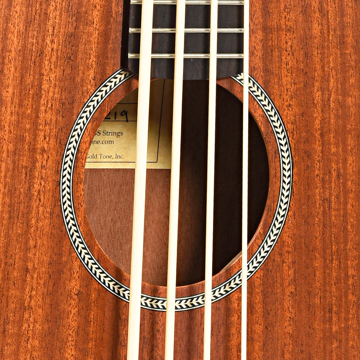Gold Tone Acoustic-Electric MicroBass (2019) - Image 5