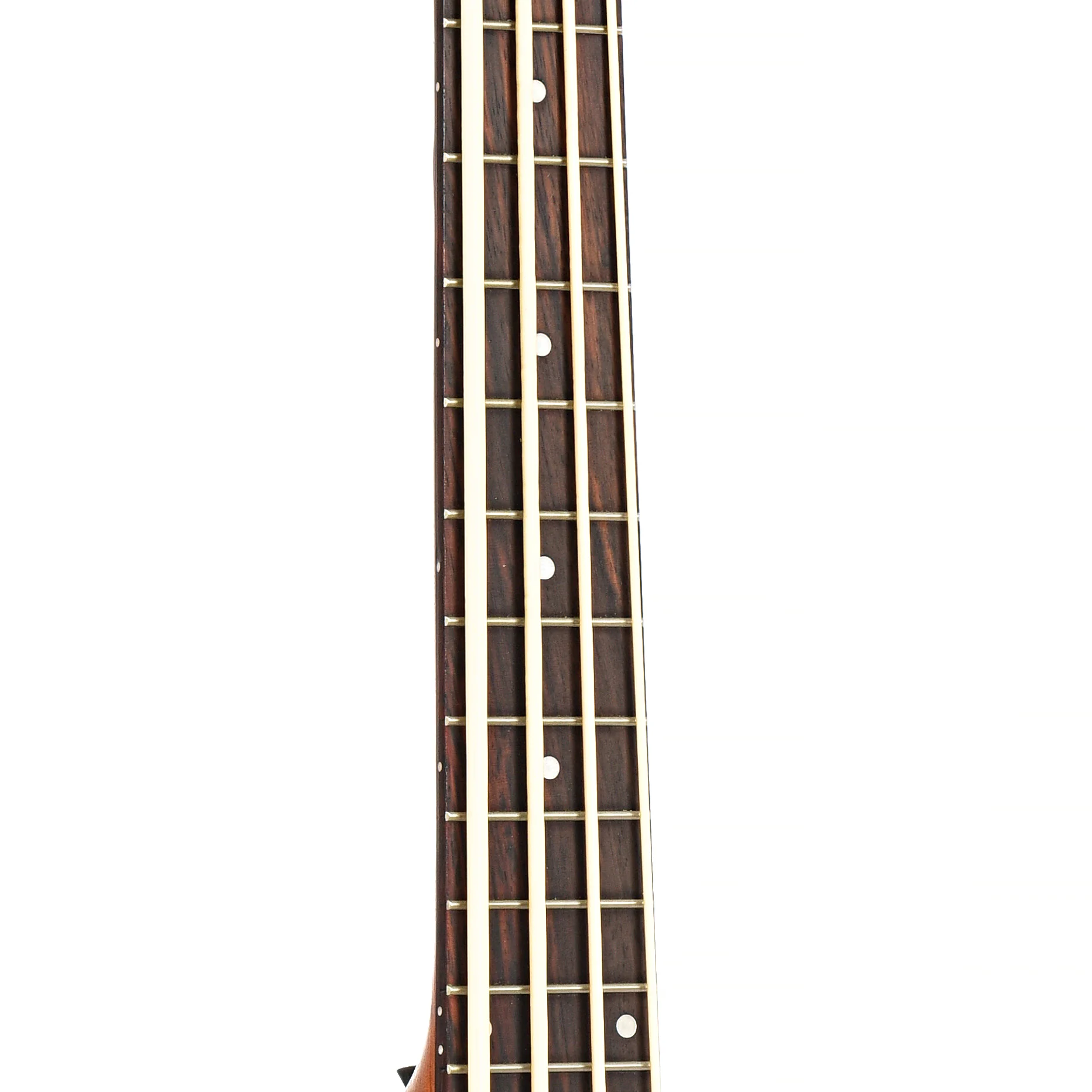 Gold Tone Acoustic-Electric MicroBass (2019) - Image 6