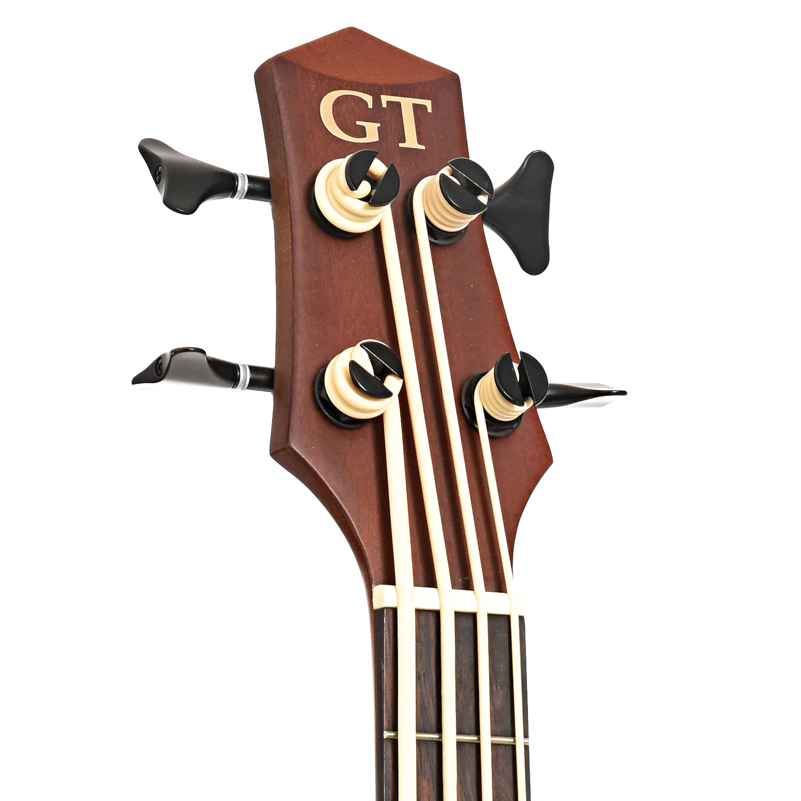 Gold Tone Acoustic-Electric MicroBass (2019) - Image 7