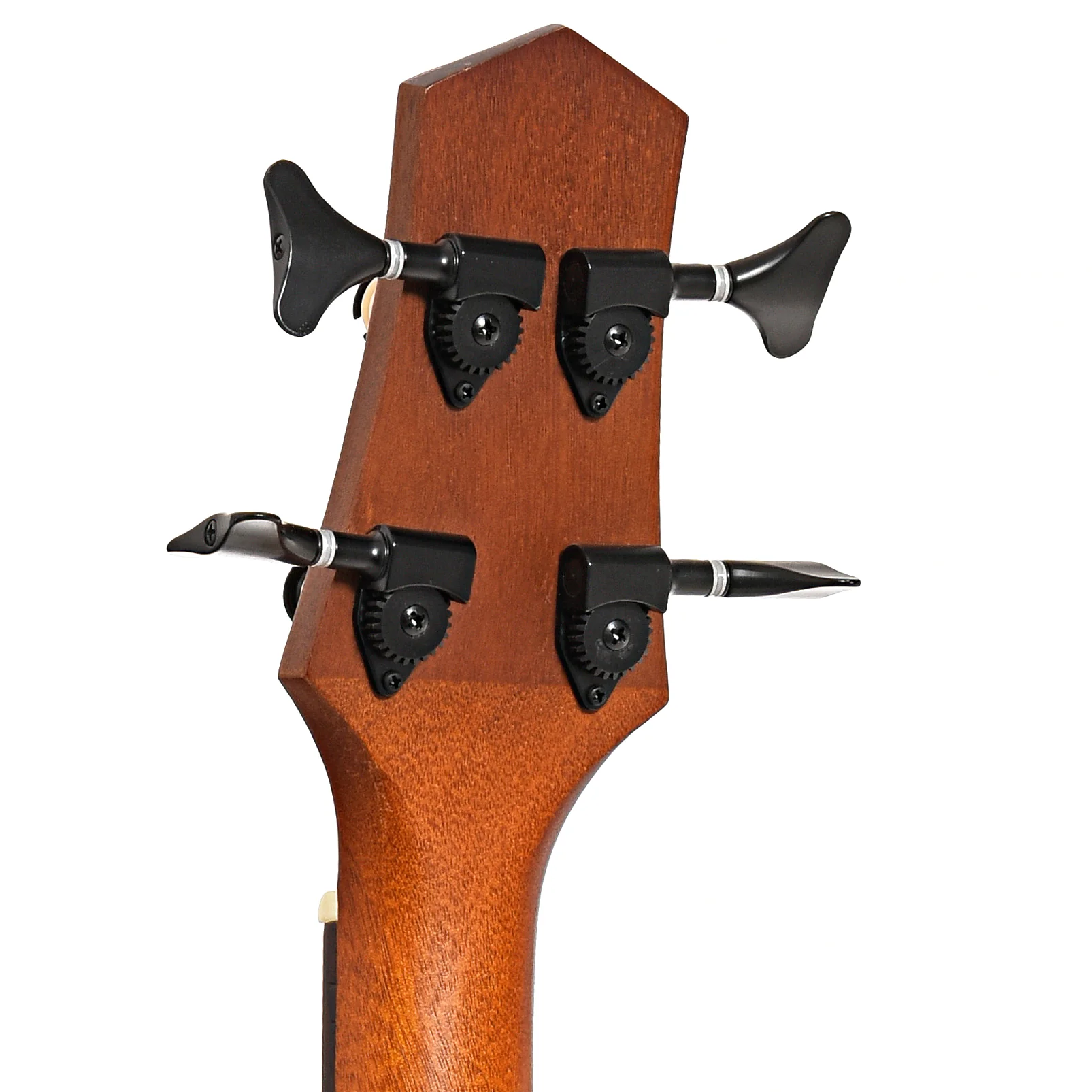 Gold Tone Acoustic-Electric MicroBass (2019) - Image 8