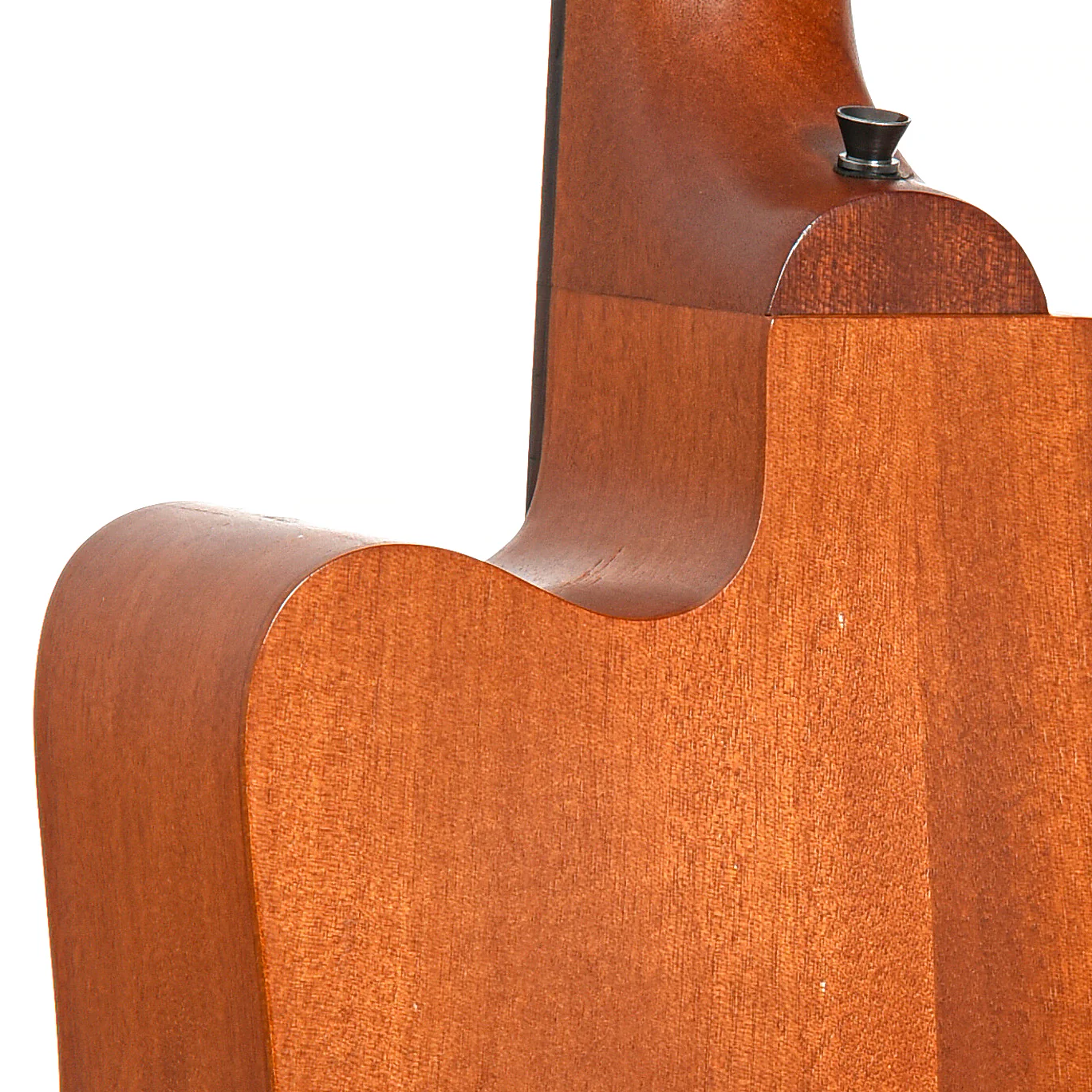 Gold Tone Acoustic-Electric MicroBass (2019) - Image 9