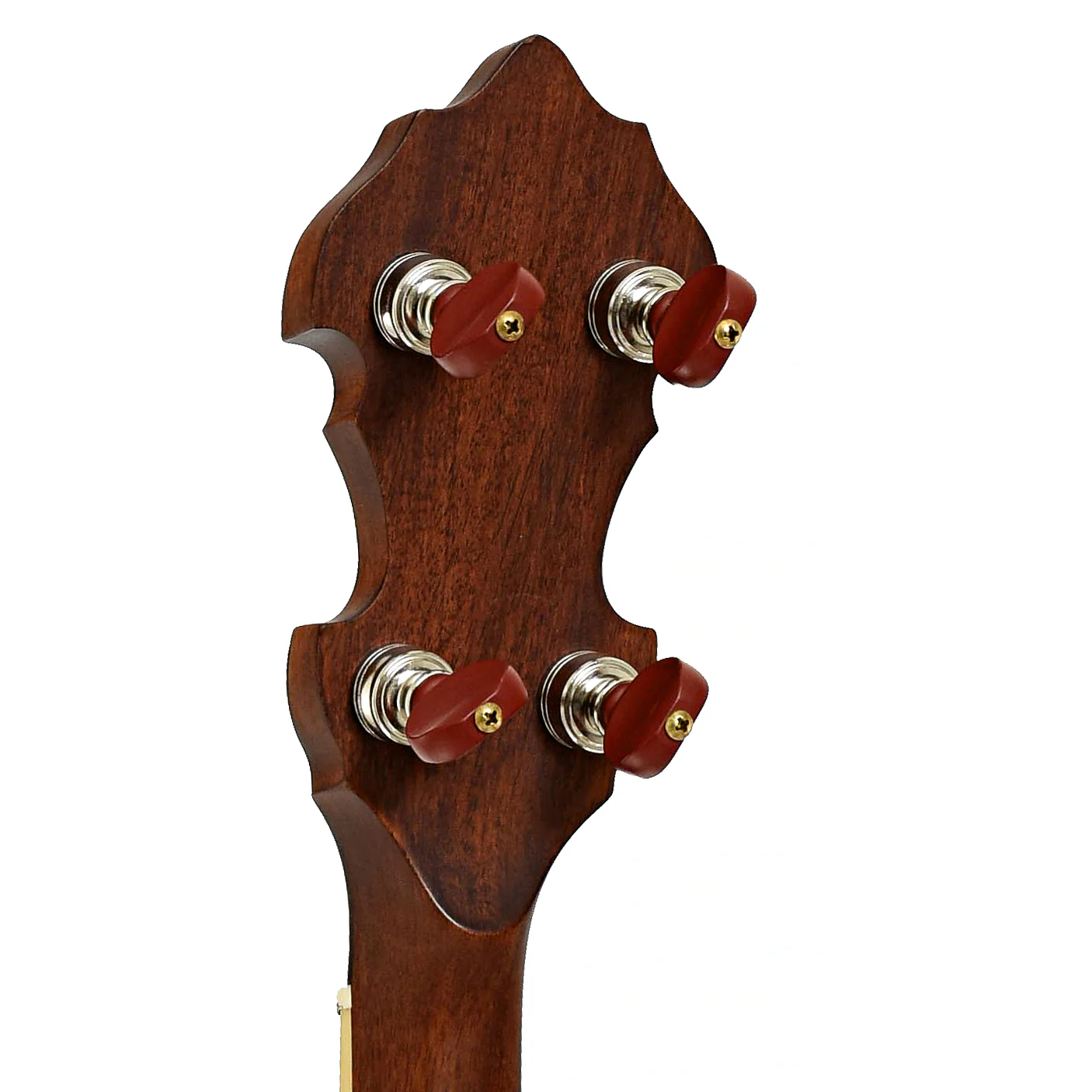 Gold Tone Mastertone OB-Bela Bela Fleck Bluegrass Heart Resonator Banjo & Case - Image 9