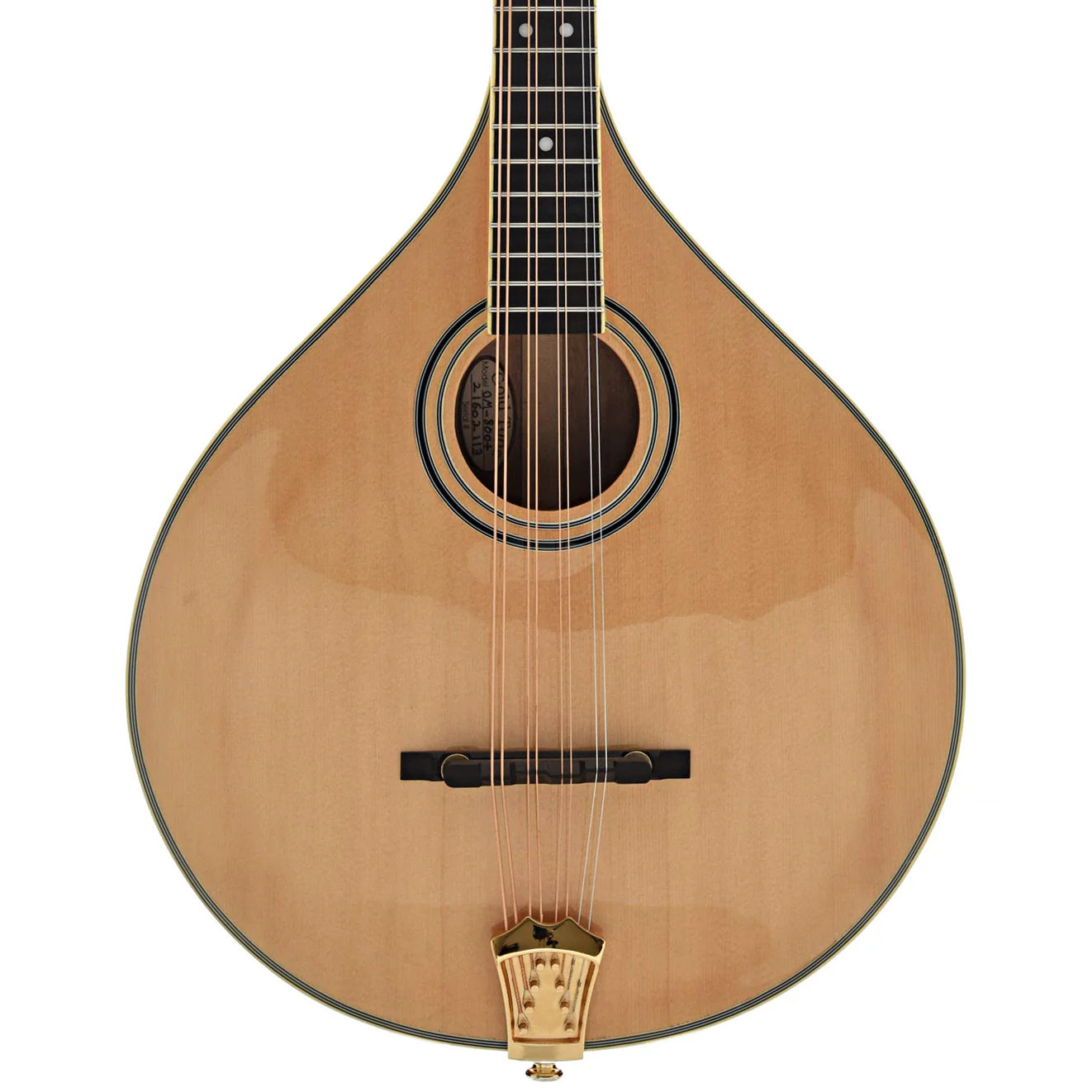 Gold Tone OM-800+ Acoustic-Electric Octave Mandolin & Case - Image 3