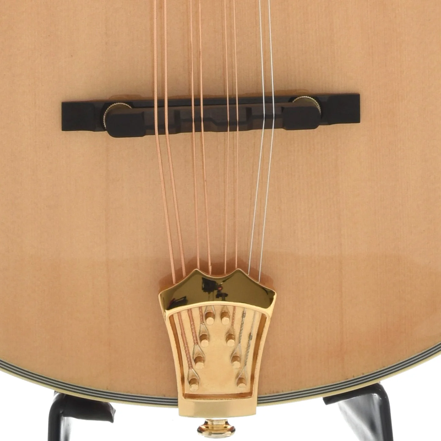 Gold Tone OM-800+ Acoustic-Electric Octave Mandolin & Case - Image 5