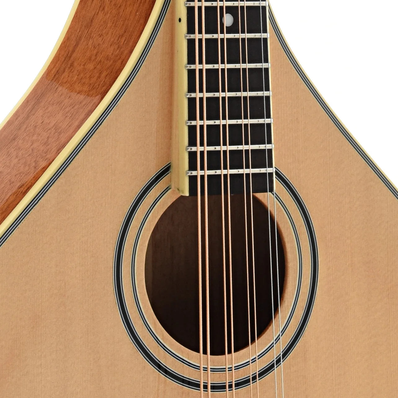Gold Tone OM-800+ Acoustic-Electric Octave Mandolin & Case - Image 6