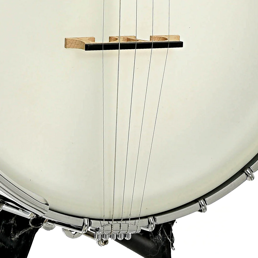 Gold Tone Mastertone OT-800 11in Tubaphone Openback Banjo & Case - Image 5