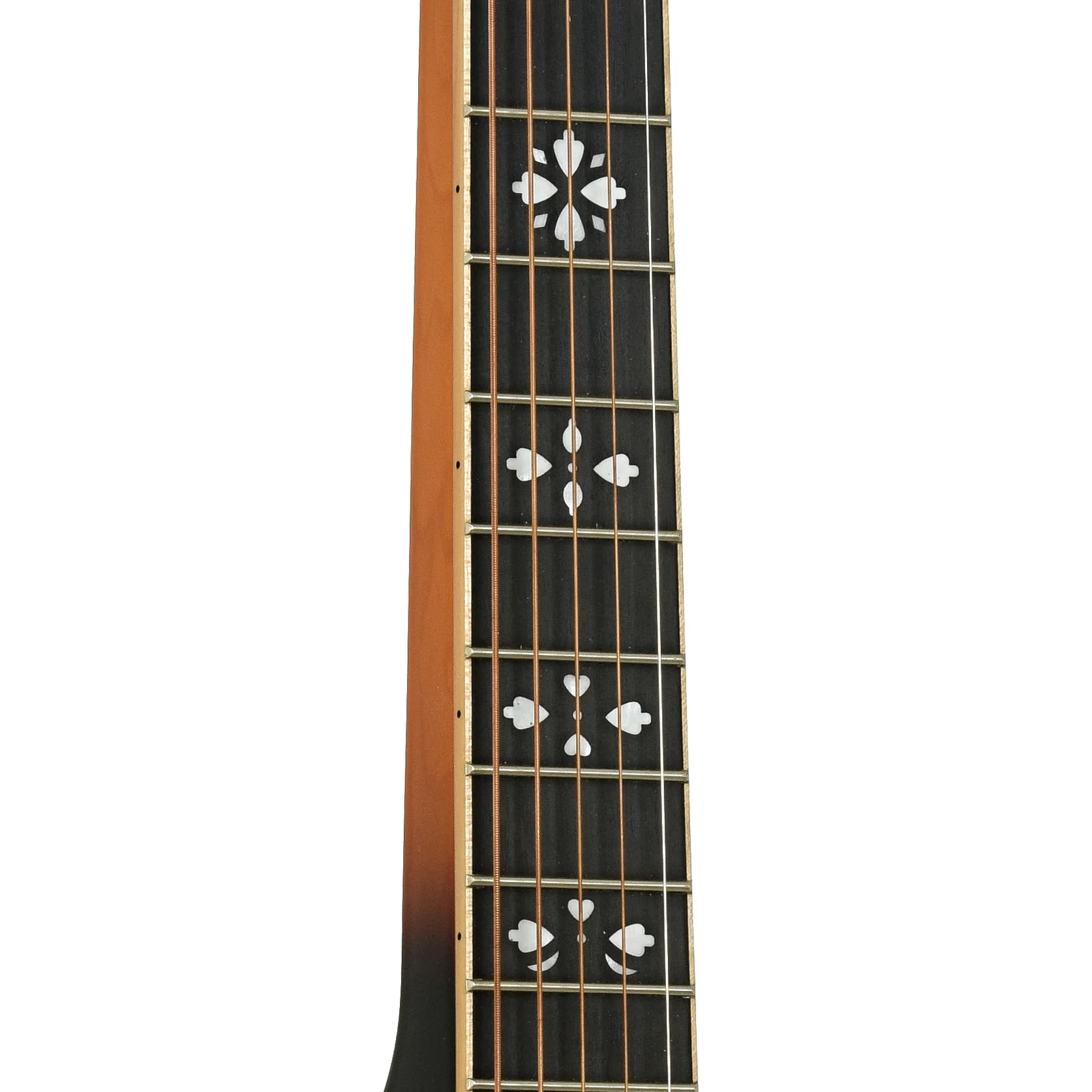 Gold Tone PBS-D Squareneck Resonator Guitar (2024) - Image 7