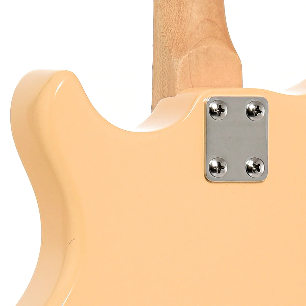 Gold Tone 4-String Solid Body Electric Mandolin & Gigbag - Image 10