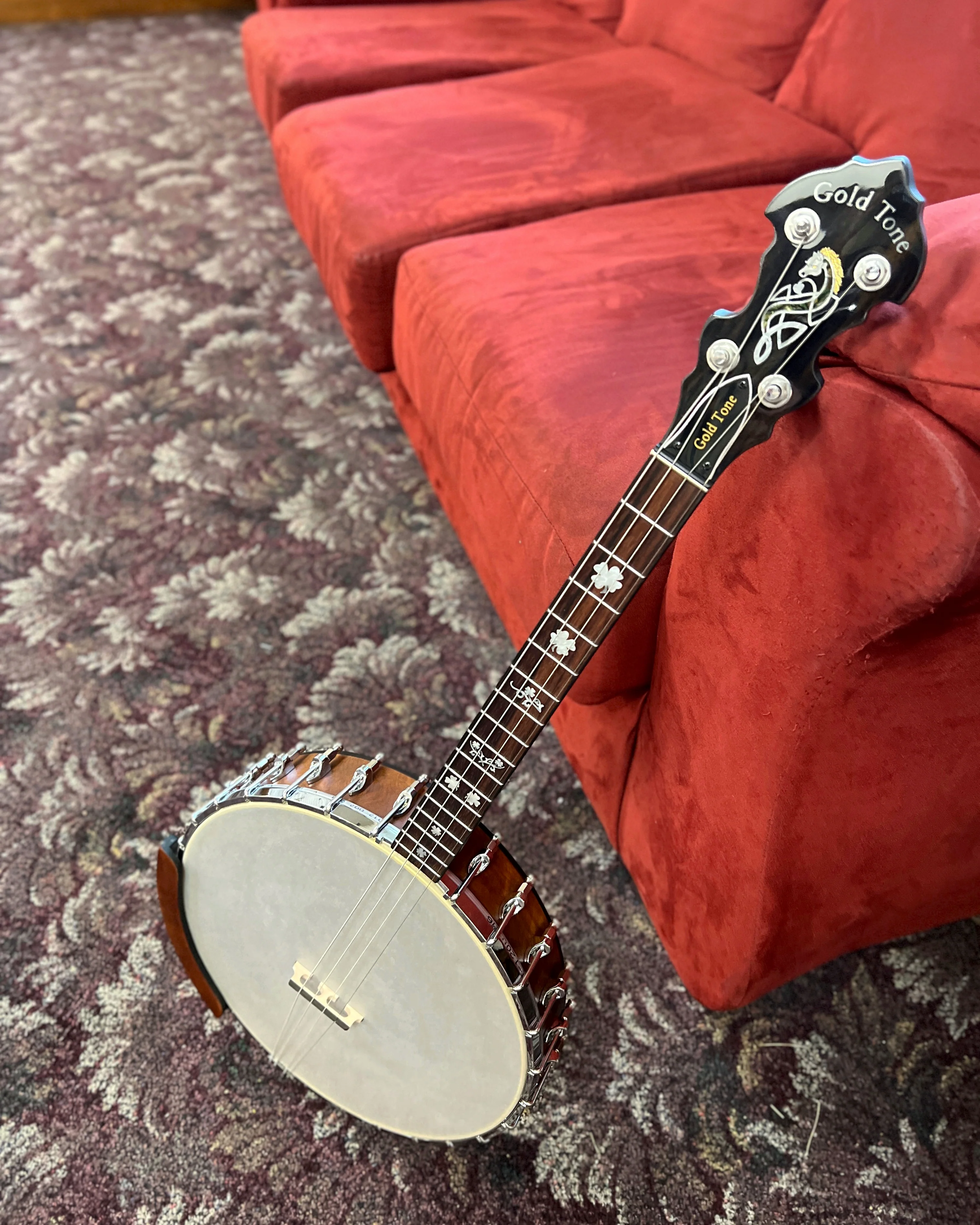Gold Tone IT-17 12in Openback Tenor Banjo & Gigbag, 17-Fret - Image 3