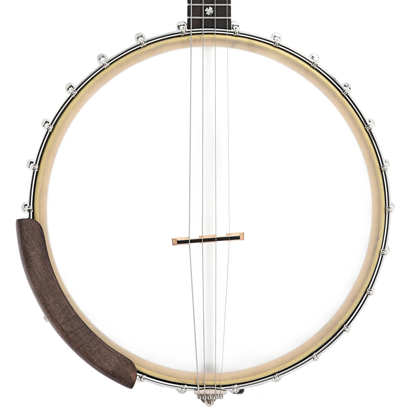 Gold Tone IT-17 12in Openback Tenor Banjo & Gigbag, 17-Fret - Image 4