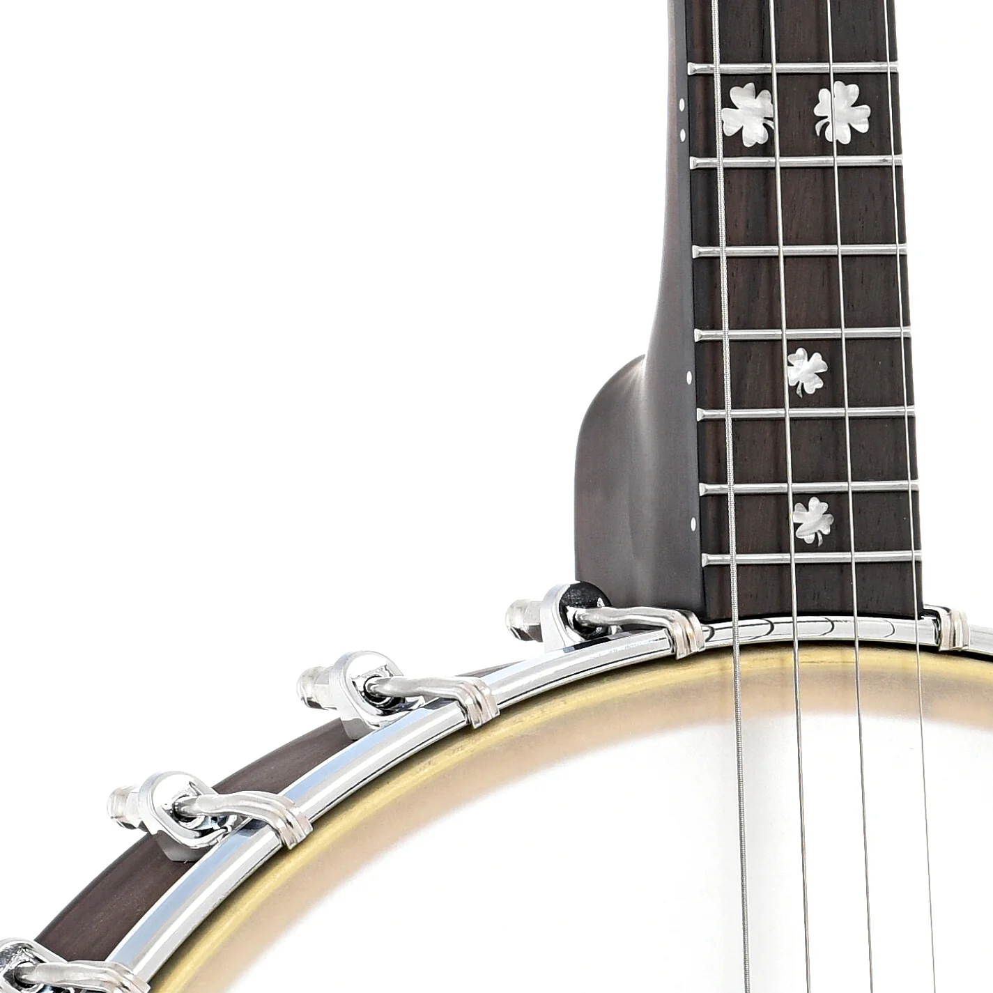 Gold Tone IT-17 12in Openback Tenor Banjo & Gigbag, 17-Fret - Image 6