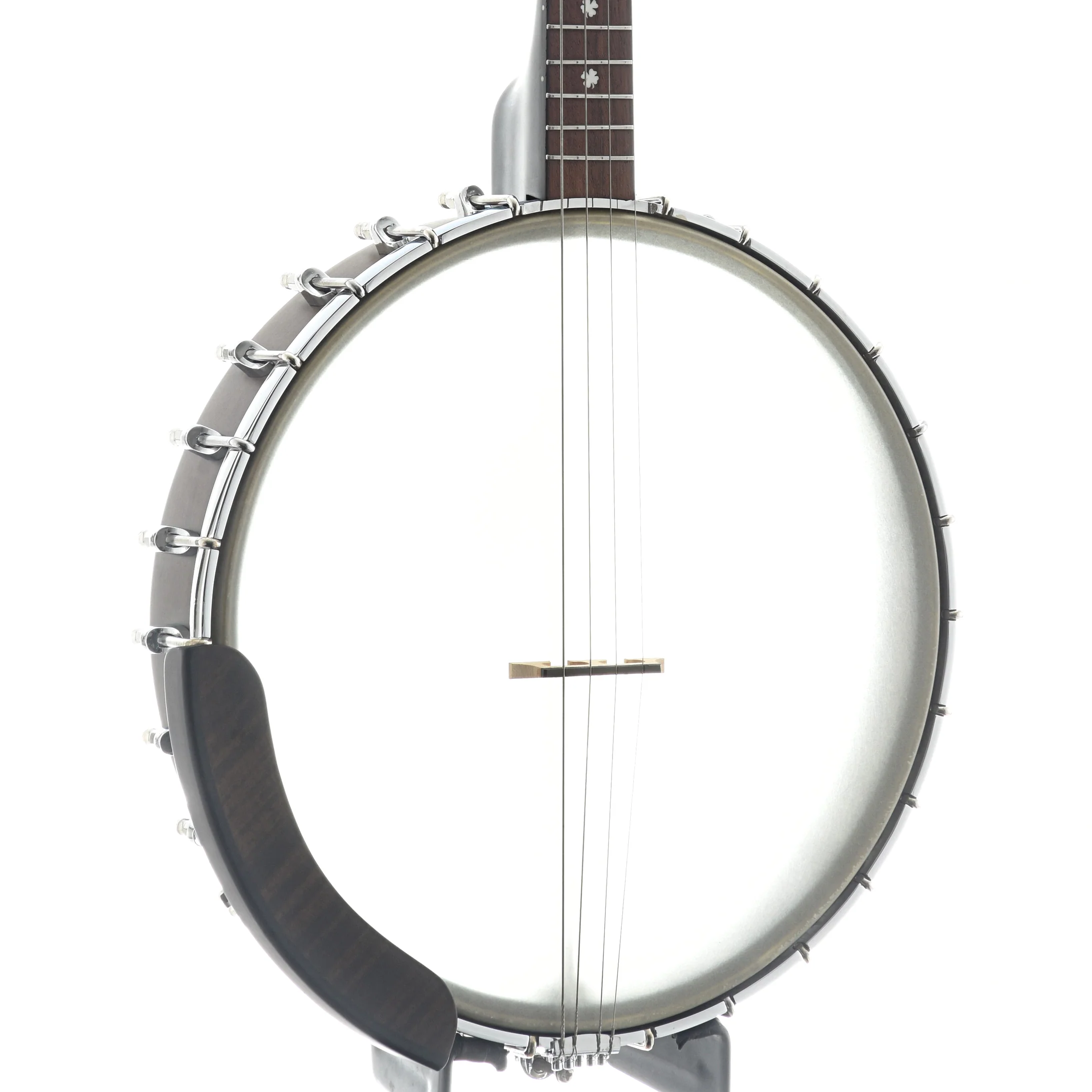 Gold Tone IT-19 12in Openback Tenor Banjo & Gigbag, 19-Fret - Image 2