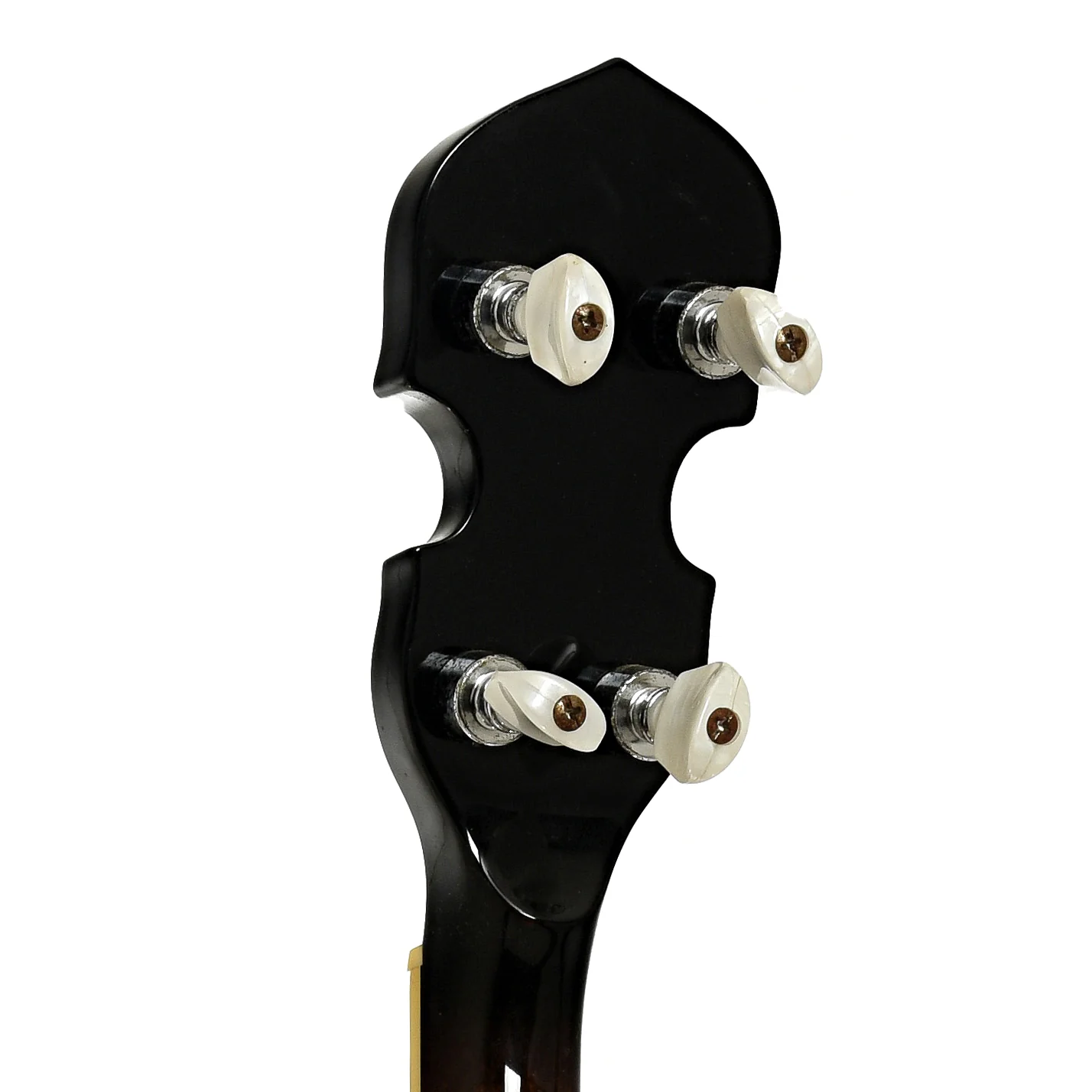 Gold Tone WL-250 Whyte Laydie Open Back Banjo (2007) - Image 9