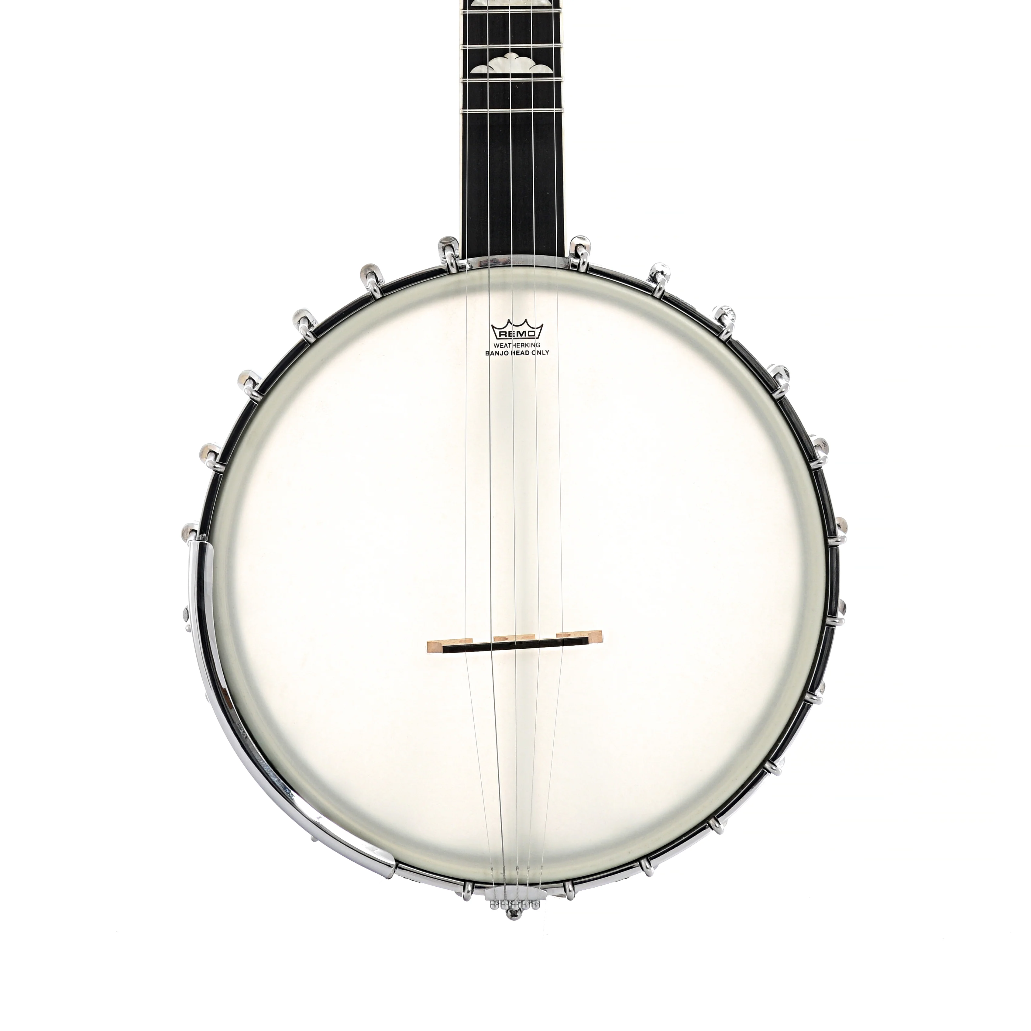 Gold Tone WL-250 Whyte Laydie Open Back Banjo (2019) - Image 2
