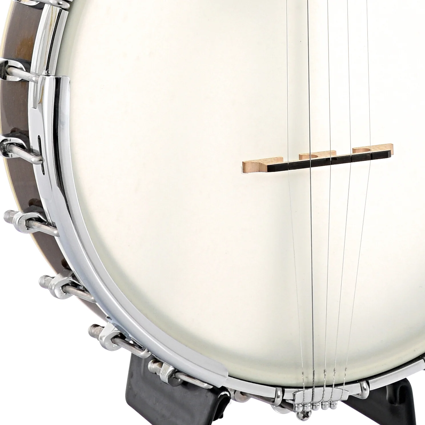 Gold Tone WL-250 Whyte Laydie Open Back Banjo (2019) - Image 4