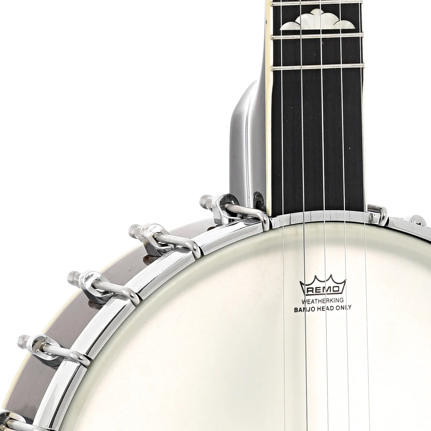 Gold Tone WL-250 Whyte Laydie Open Back Banjo (2019) - Image 5