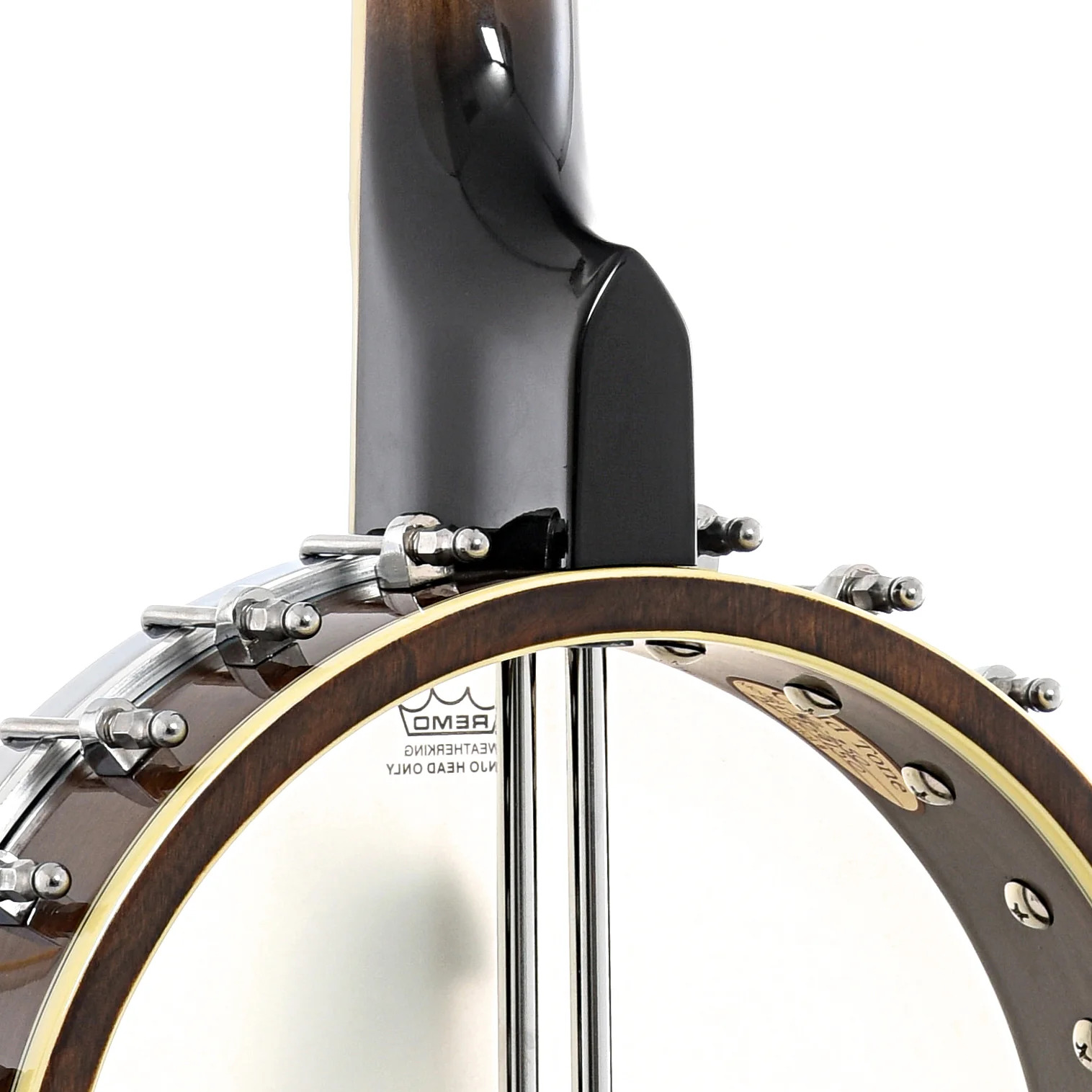 Gold Tone WL-250 Whyte Laydie Open Back Banjo (2019) - Image 9