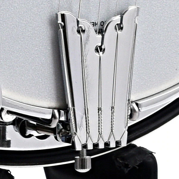 Gold Tone BG-150F Resonator Banjo & Gigbag - Image 4