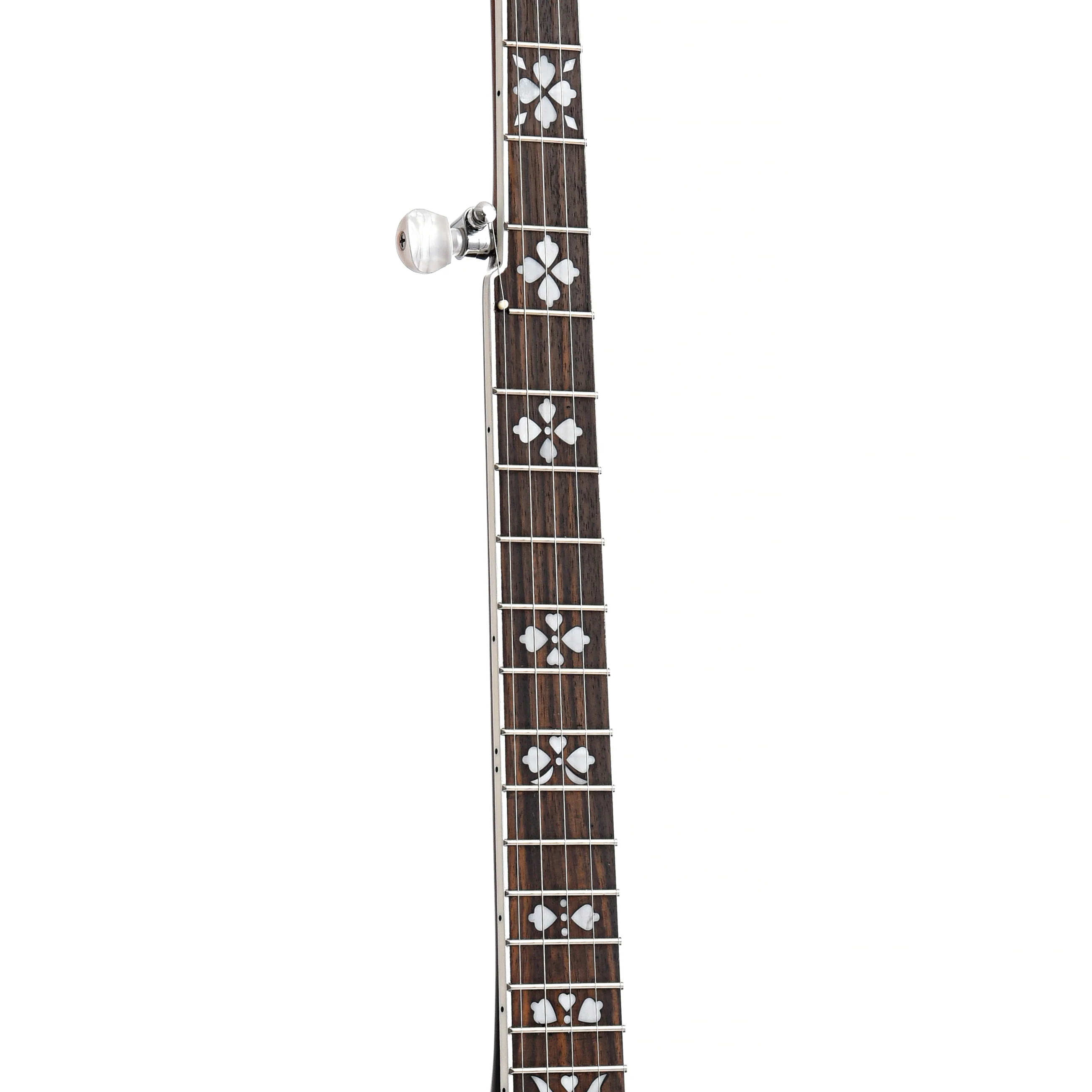 Gold Tone BG-150F Resonator Banjo & Gigbag - Image 7