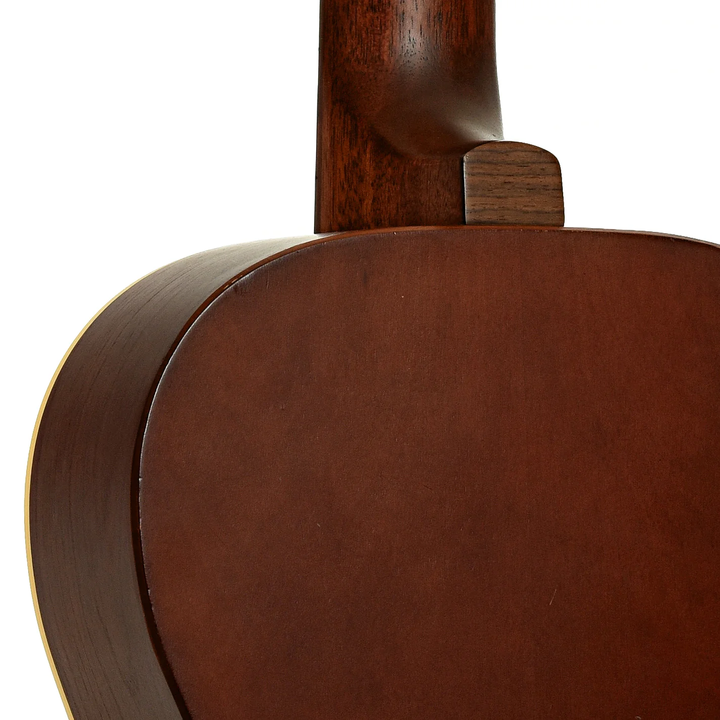 Seagull Coastline Parlor Grand Acoustic Guitar (1997) - Image 10