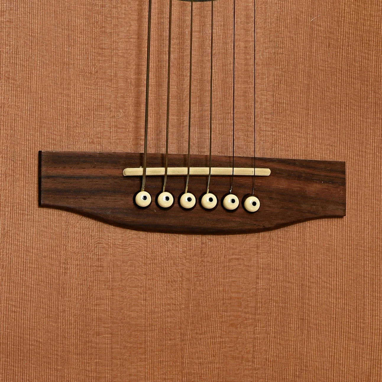 Seagull Coastline Parlor Grand Acoustic Guitar (1997) - Image 5