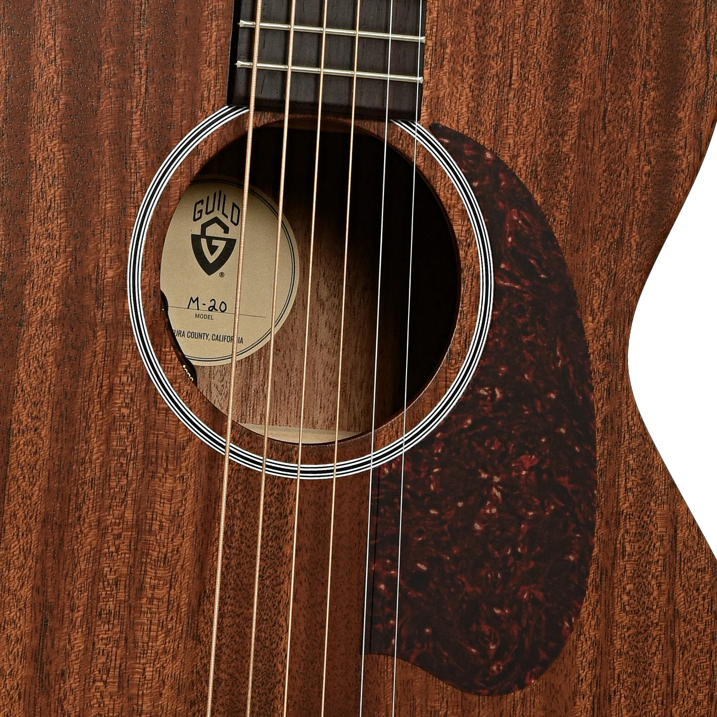 Guild M-20E Acoustic-Electric Guitar, Natural - Image 6