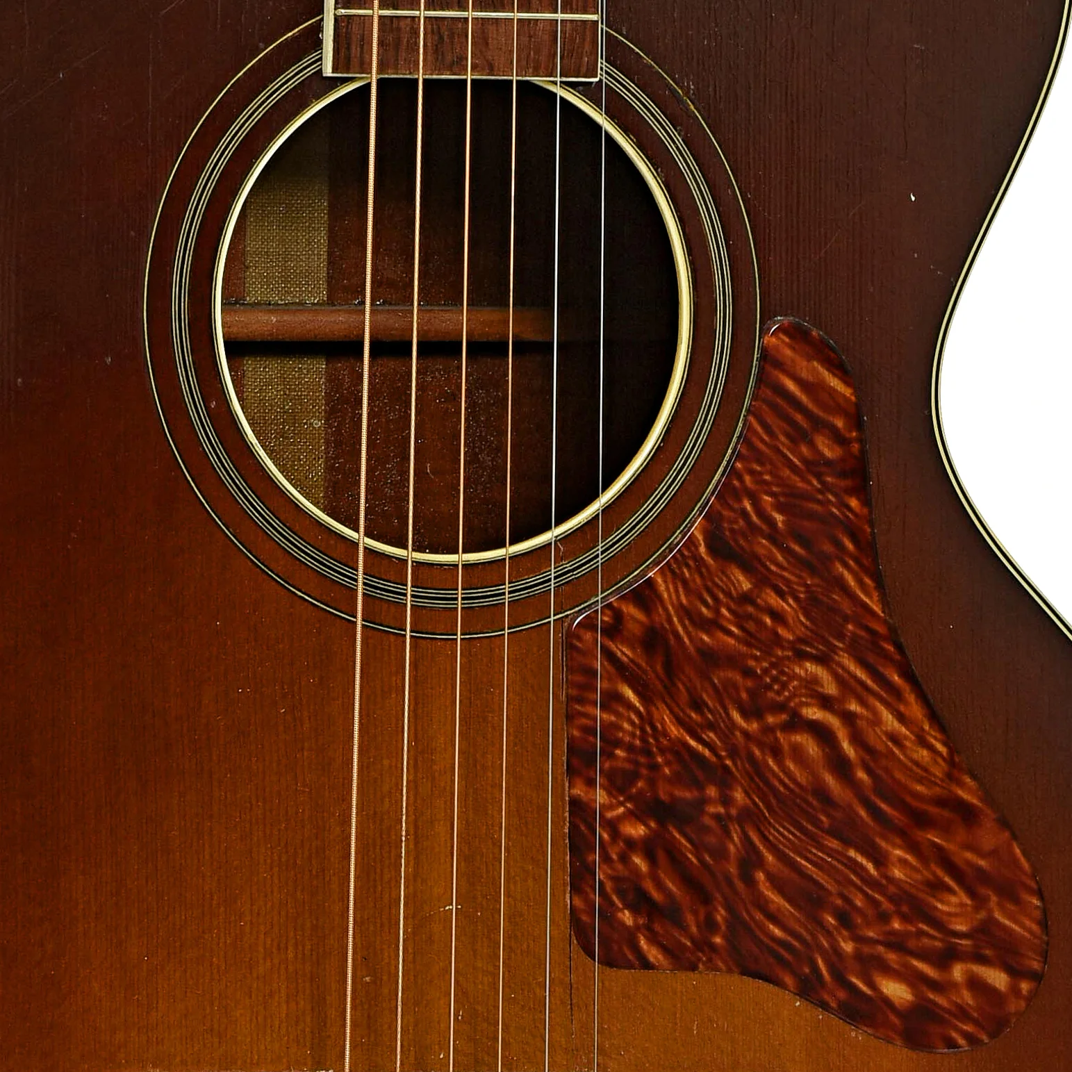 Harmony Professional H1252 Hawaiian Guitar (c.1940) - Image 6